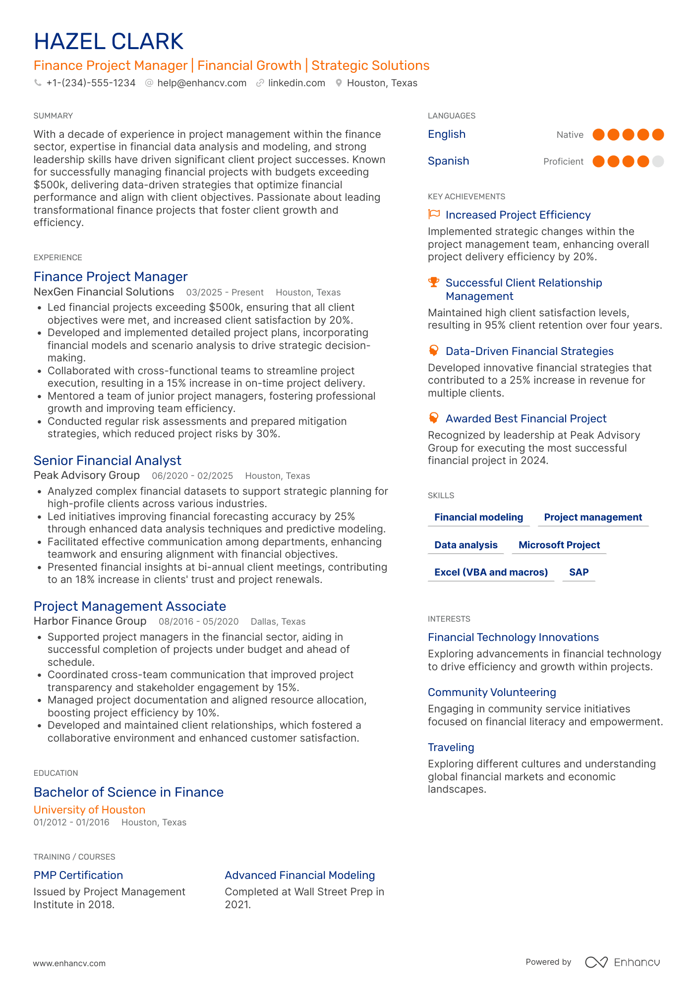 Finance Project Manager Resume Example