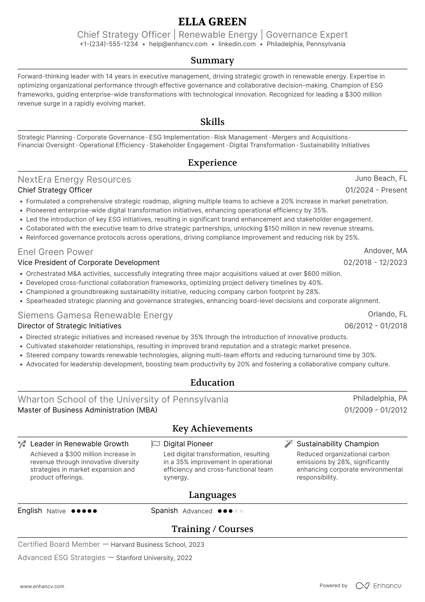 Board of Directors Resume Example