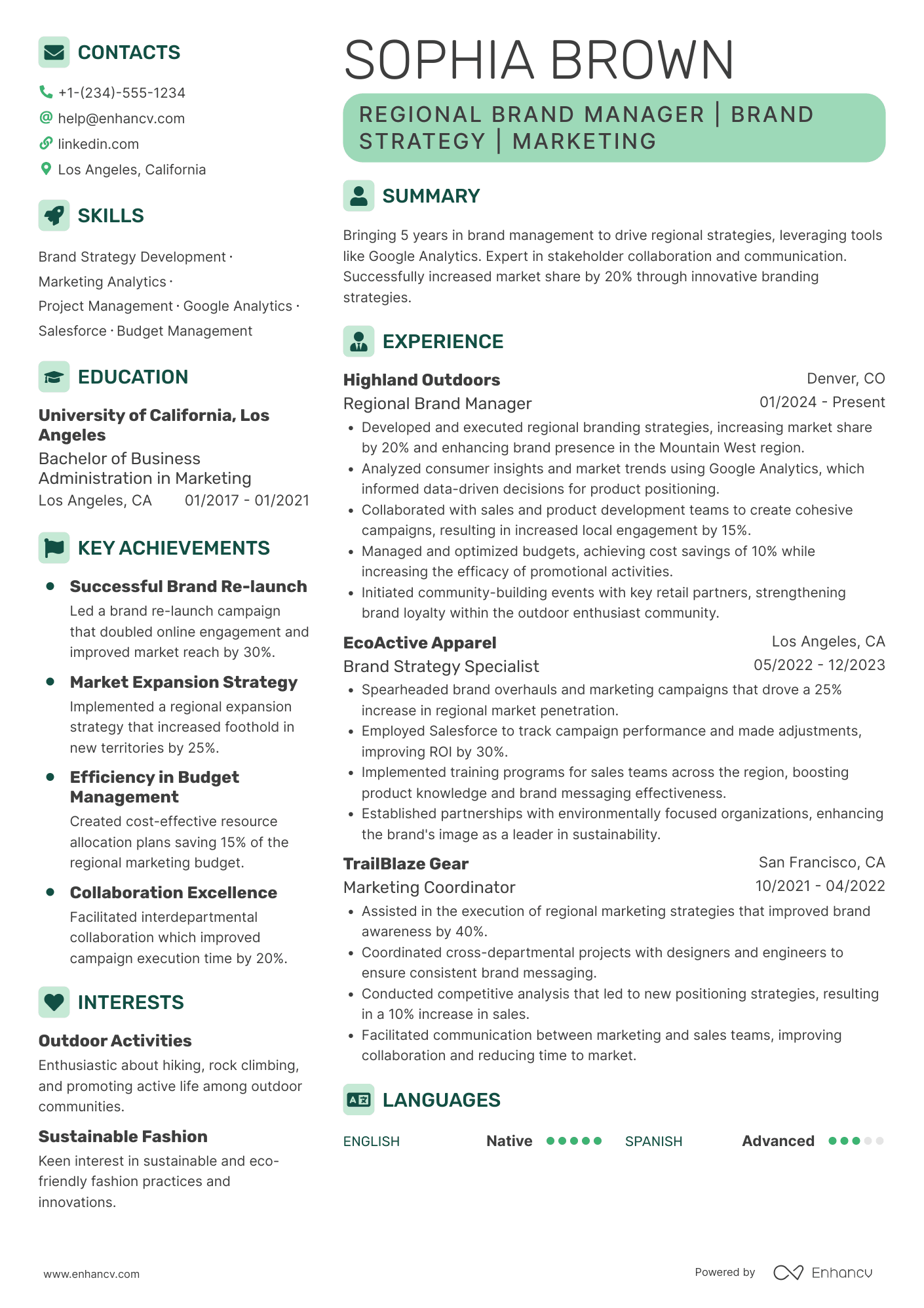 Regional Brand Manager Resume Example