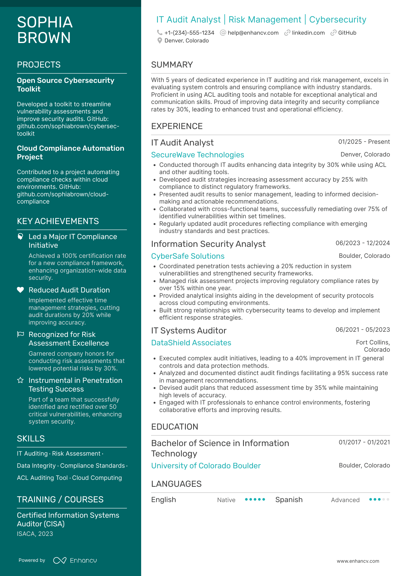 IT Audit Analyst Resume Example