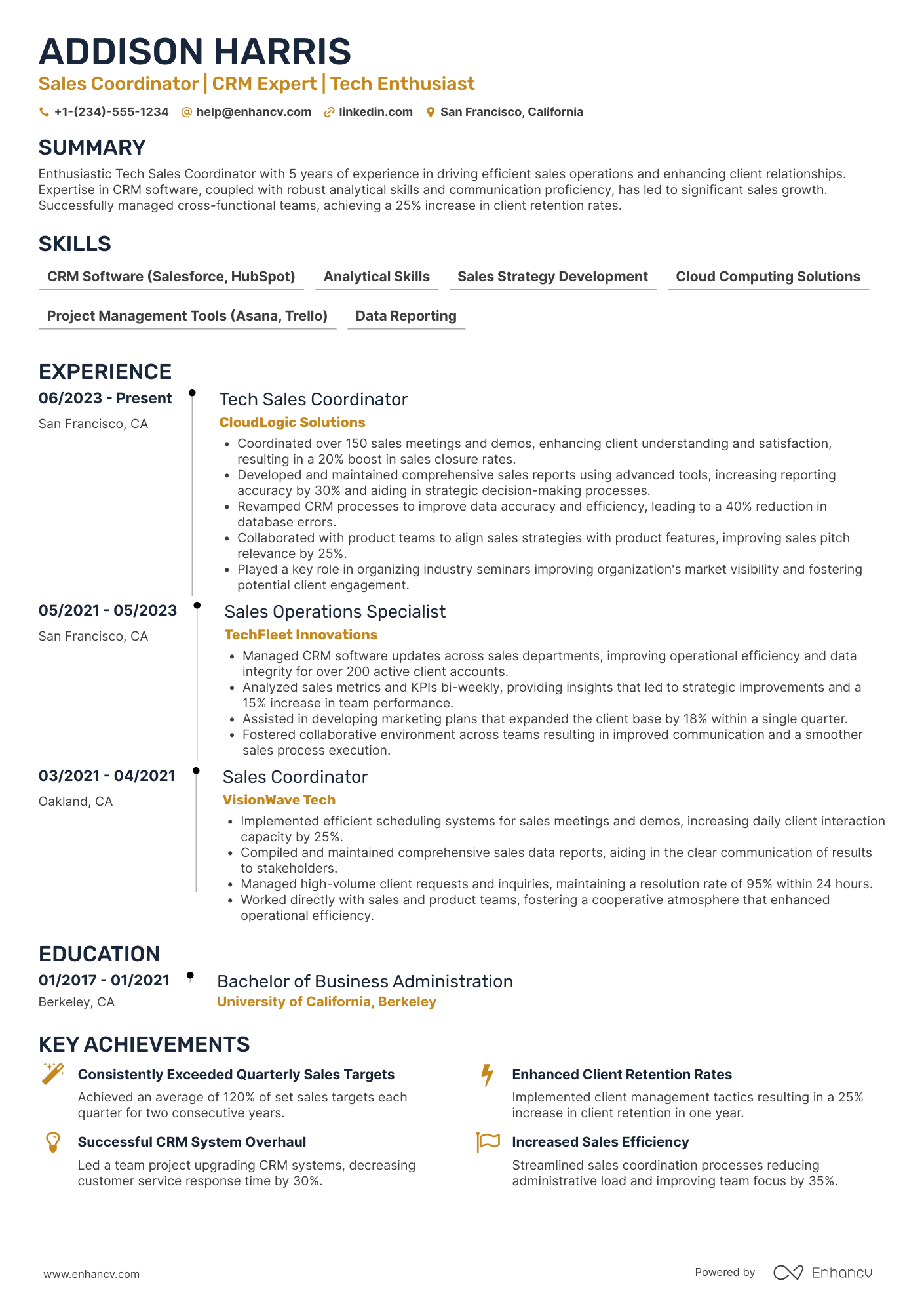 Tech Sales Coordinator Resume Example