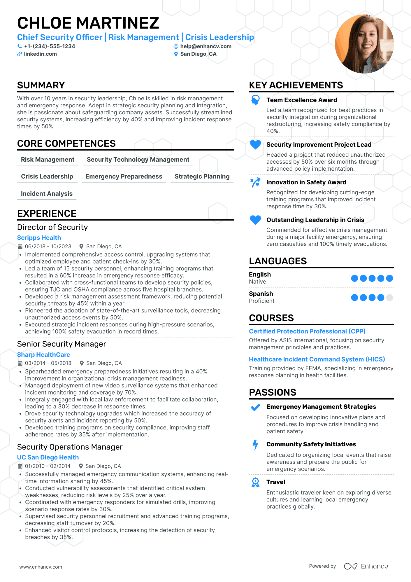 Chief Security Officer Resume Example