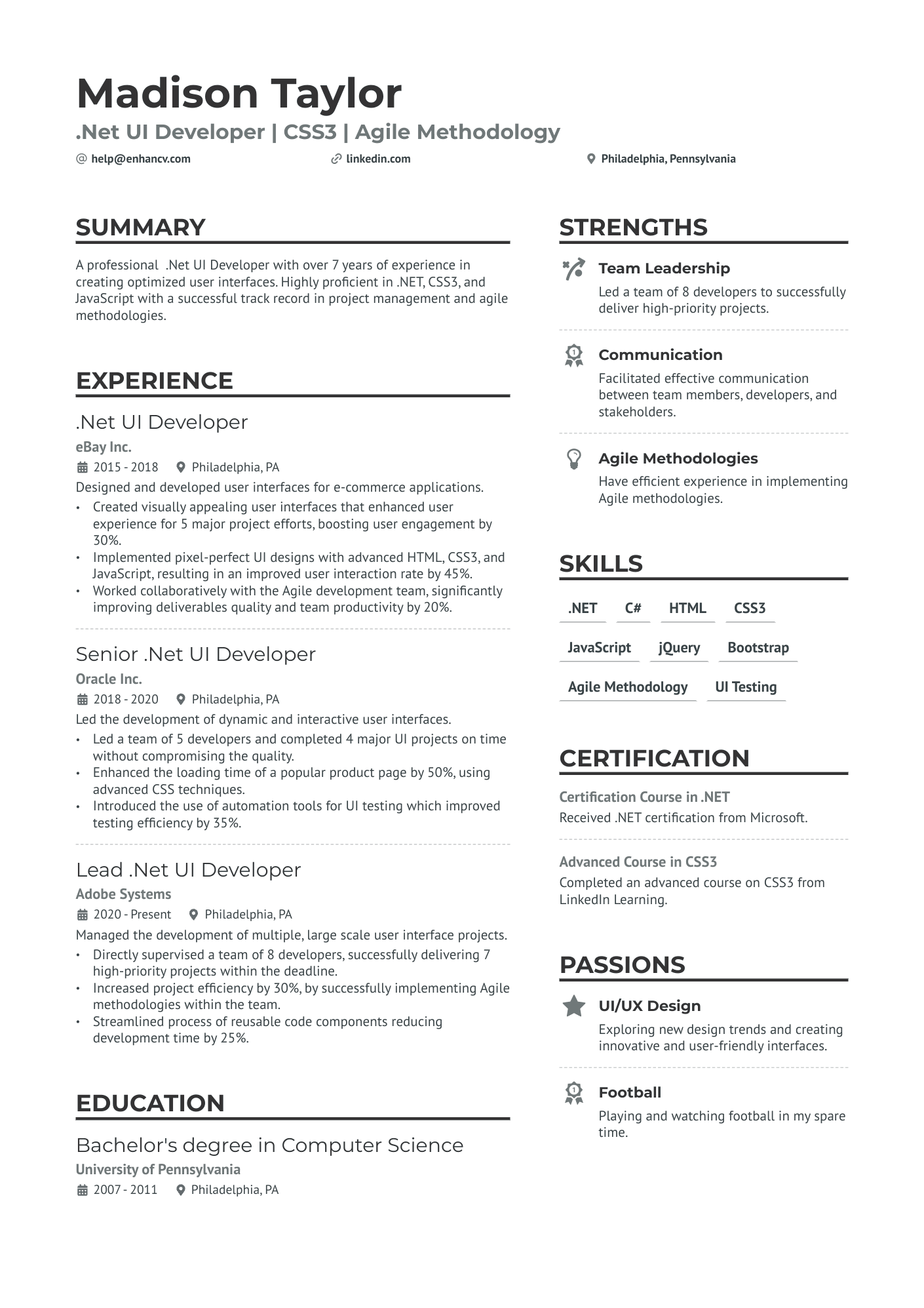 .Net UI Developer Resume Example