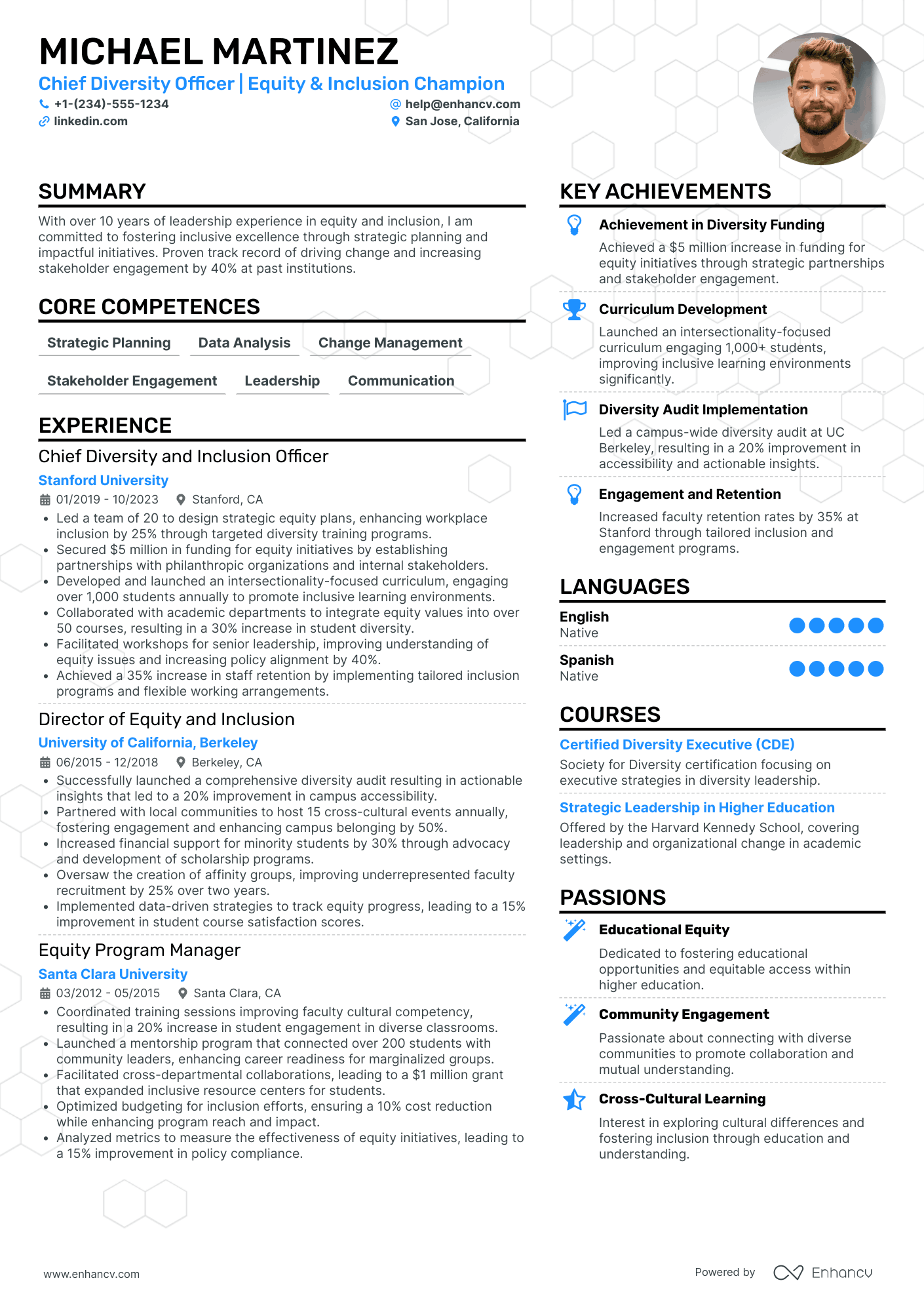 Chief Diversity Officer Resume Example