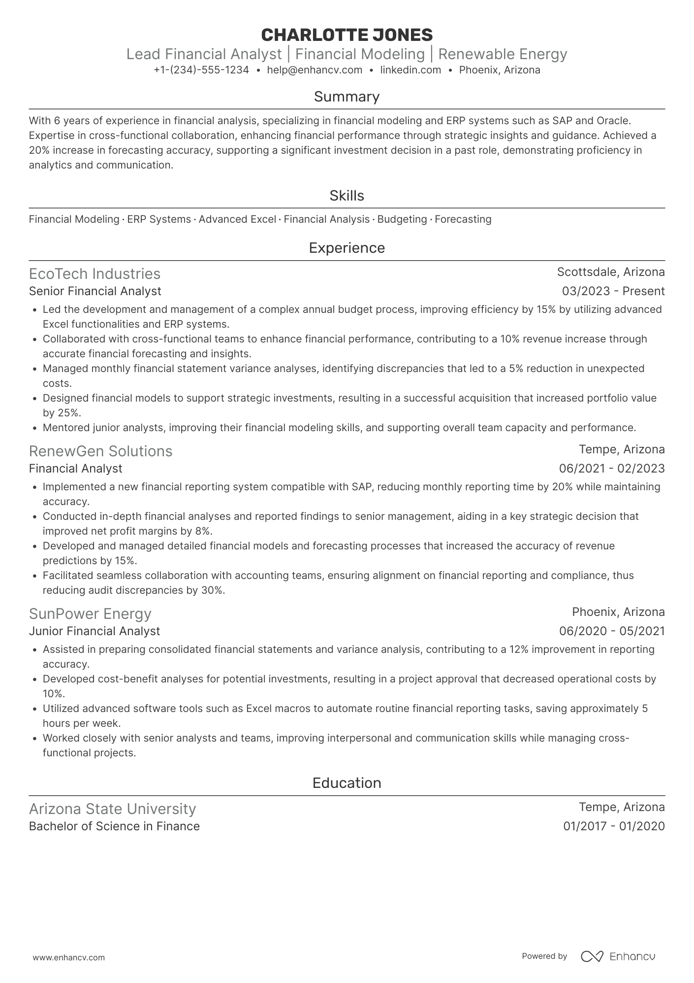Lead Financial Analyst Resume Example