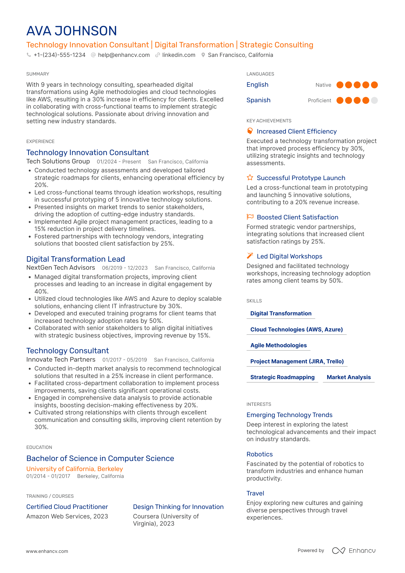 Technology Innovation Consultant Resume Example