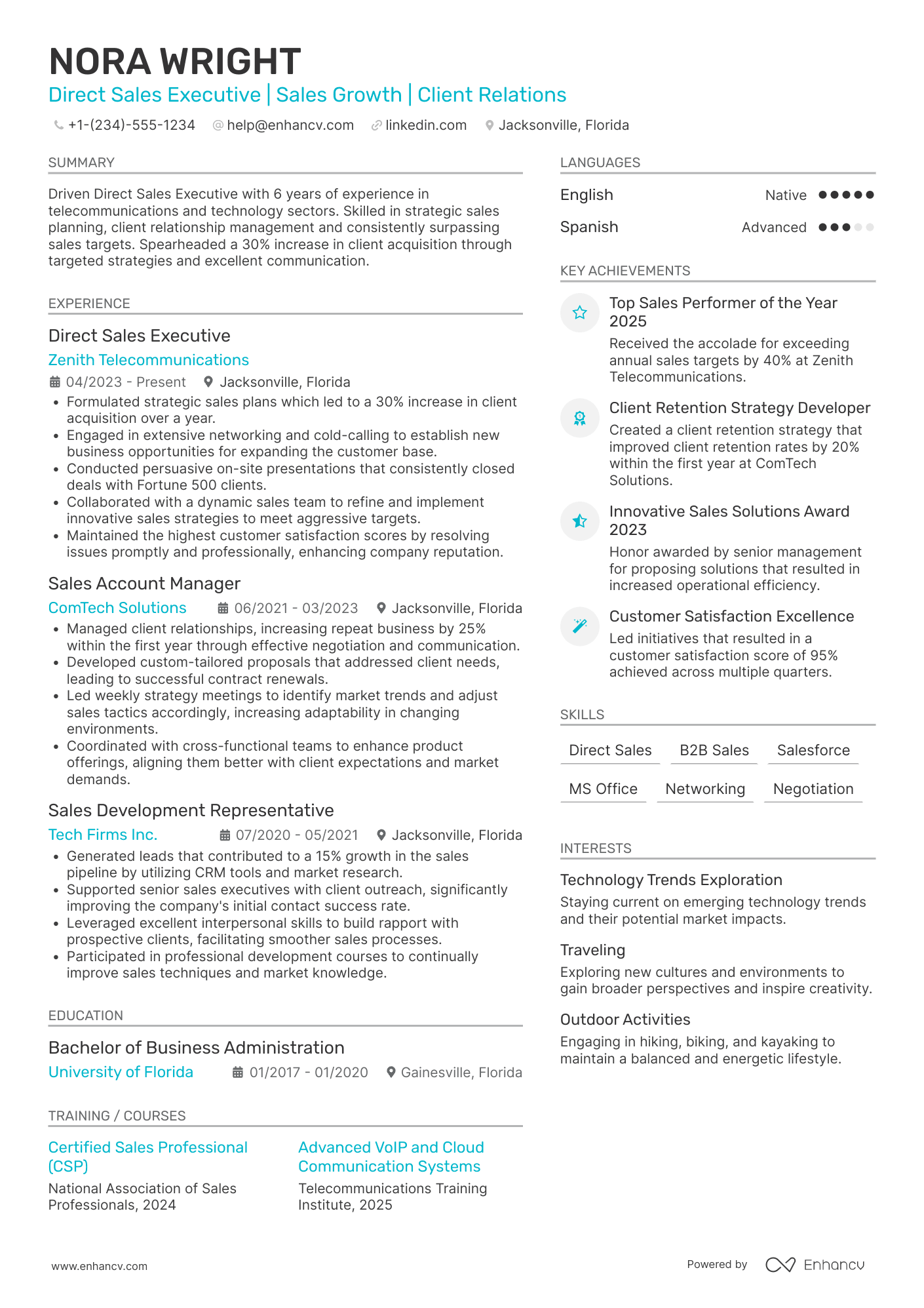 Direct Sales Executive Resume Example