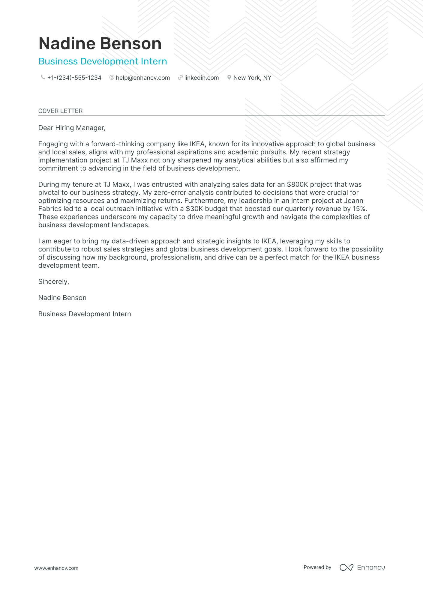 Business Development Intern Resume Example