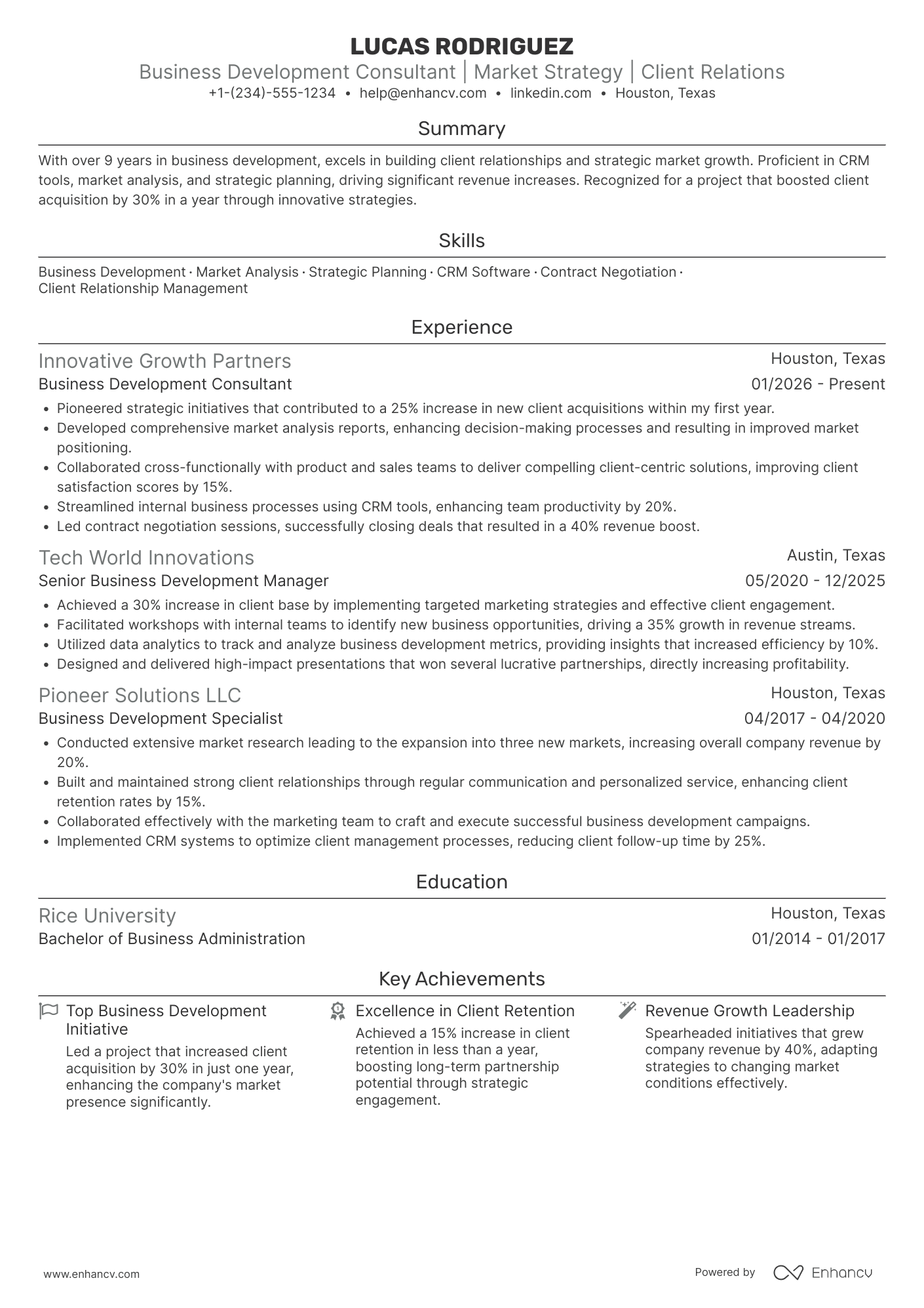 Business Development Consultant Resume Example