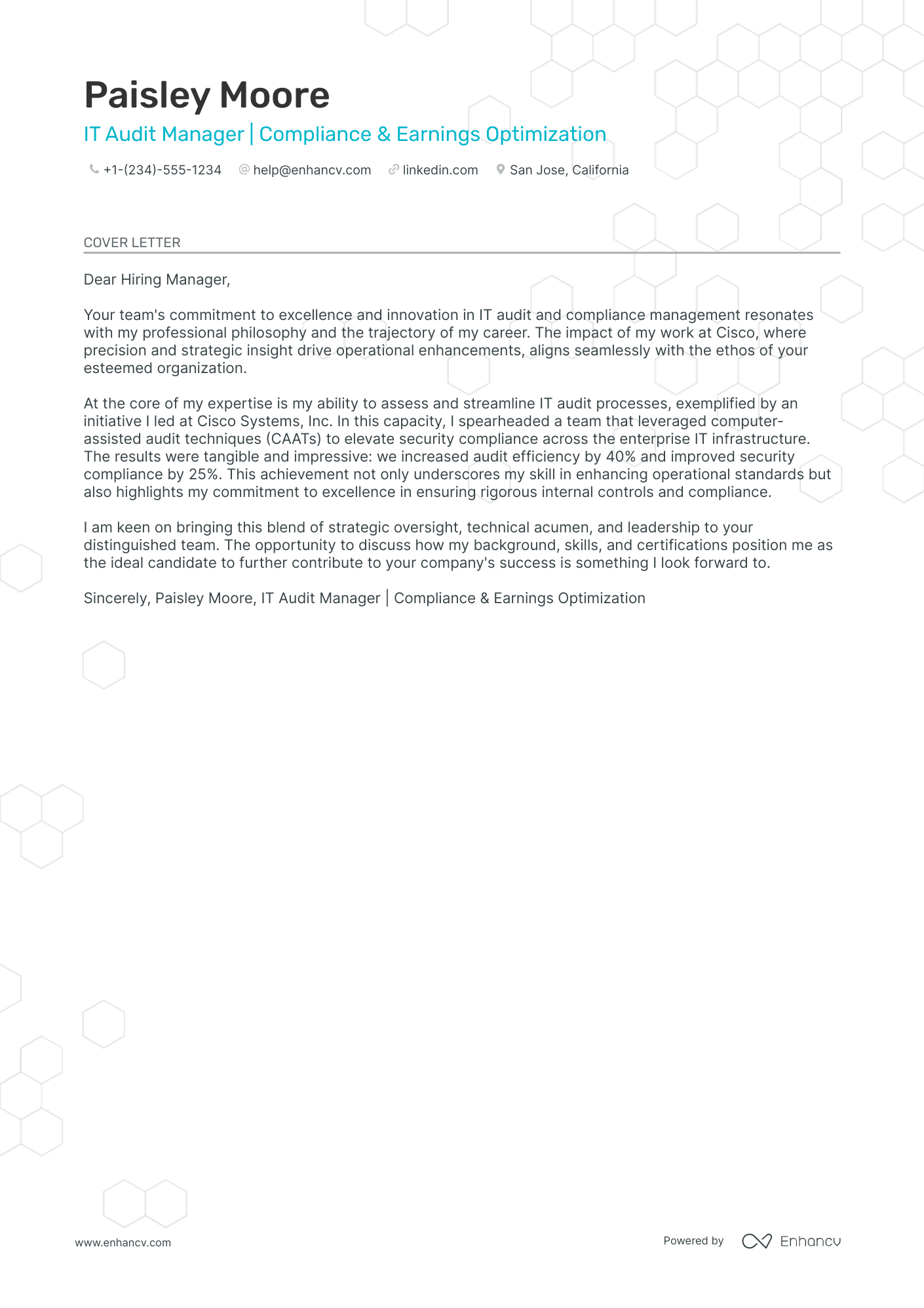 IT Audit Manager Resume Example