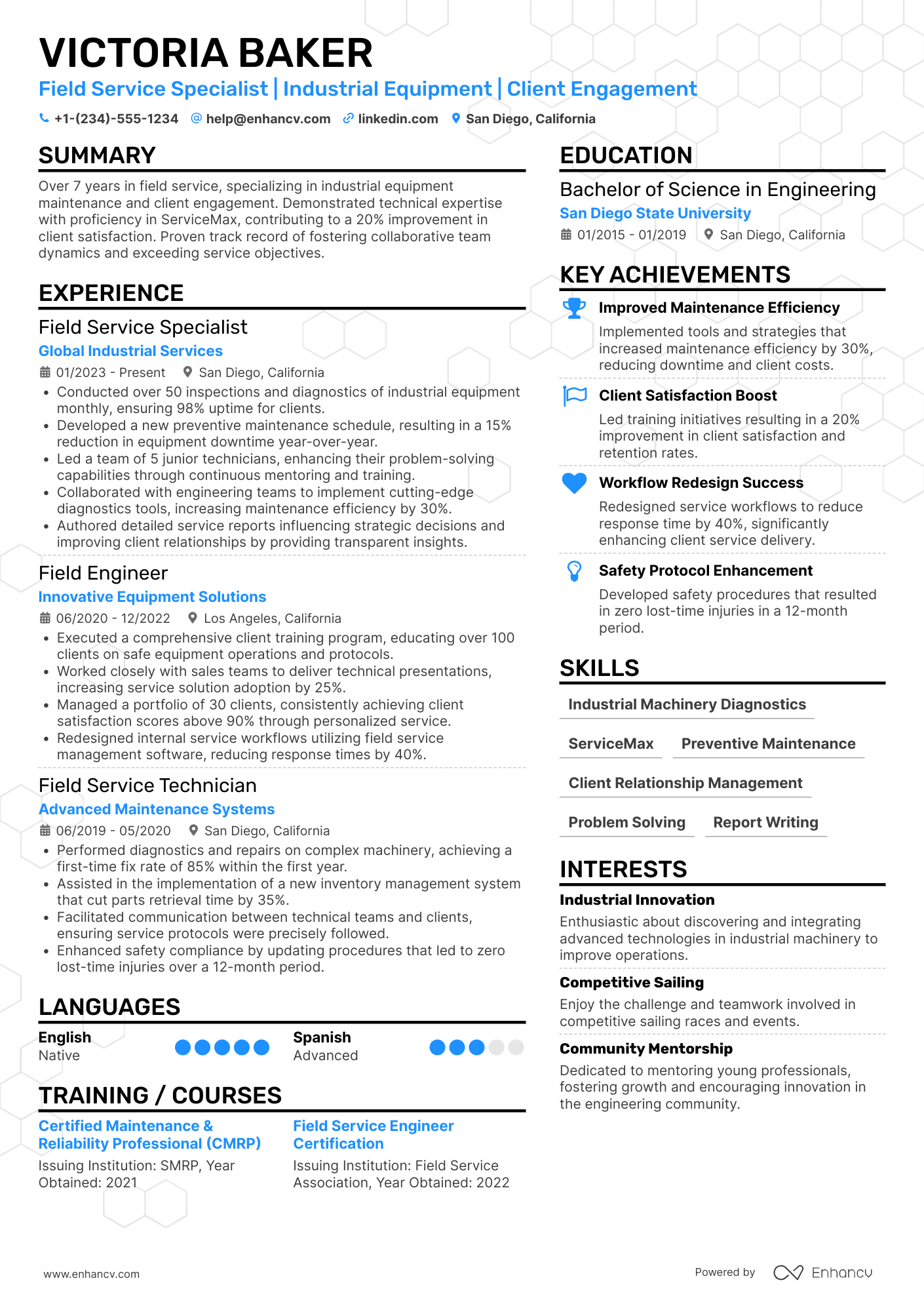 Field Service Advisor Resume Example