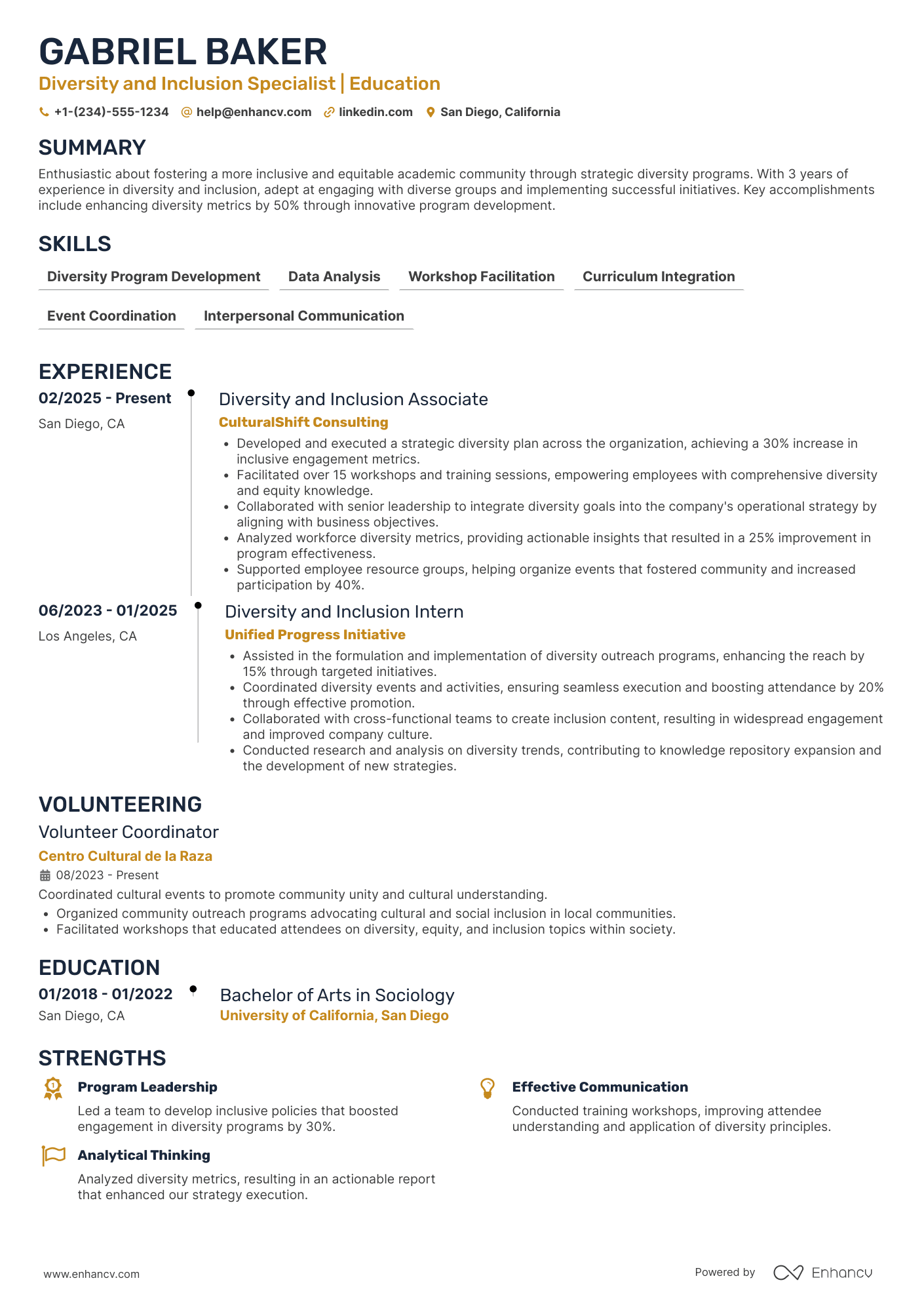 Law School Diversity and Inclusion Officer Resume Example