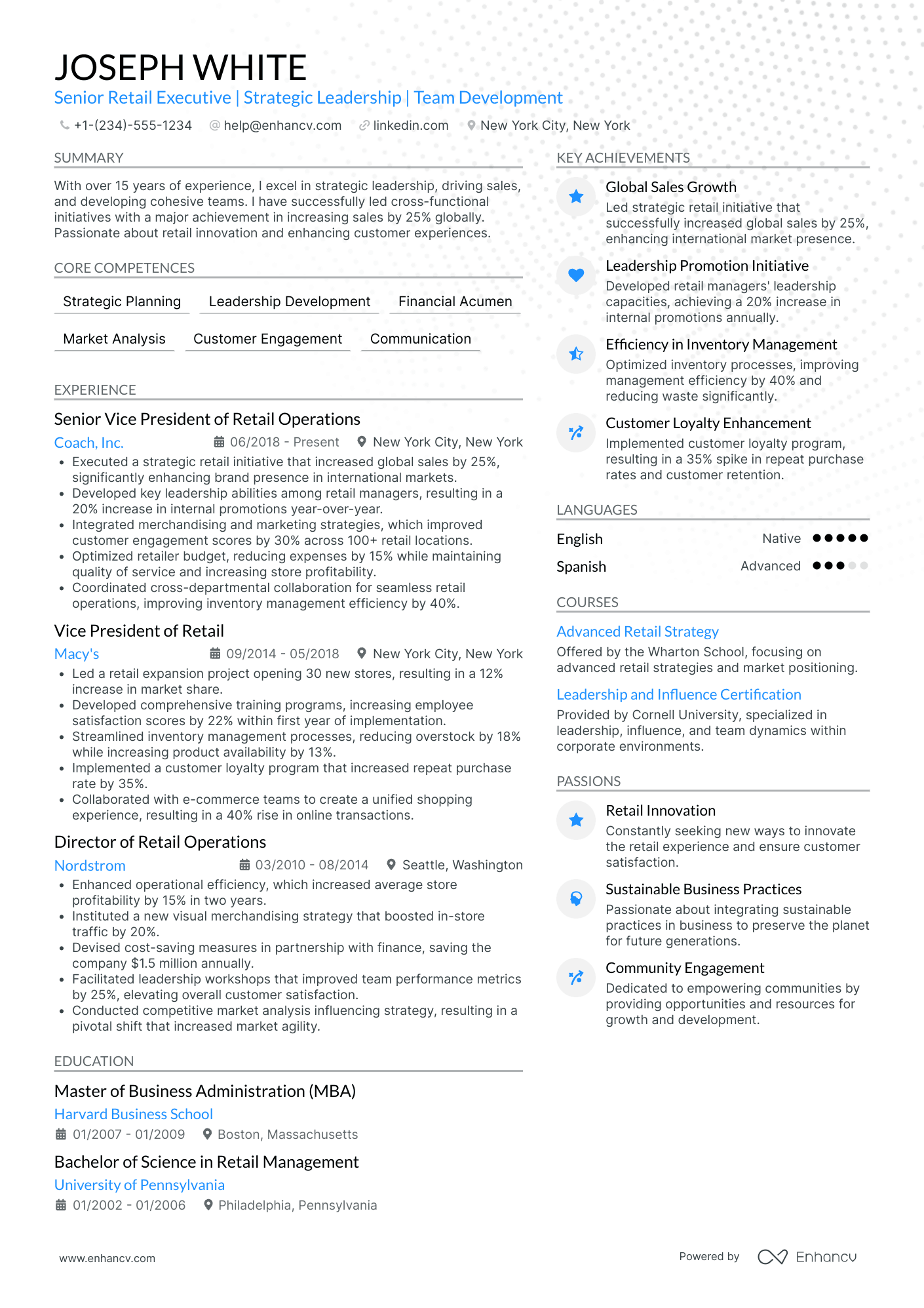 Chief Technology Officer in Retail Resume Example