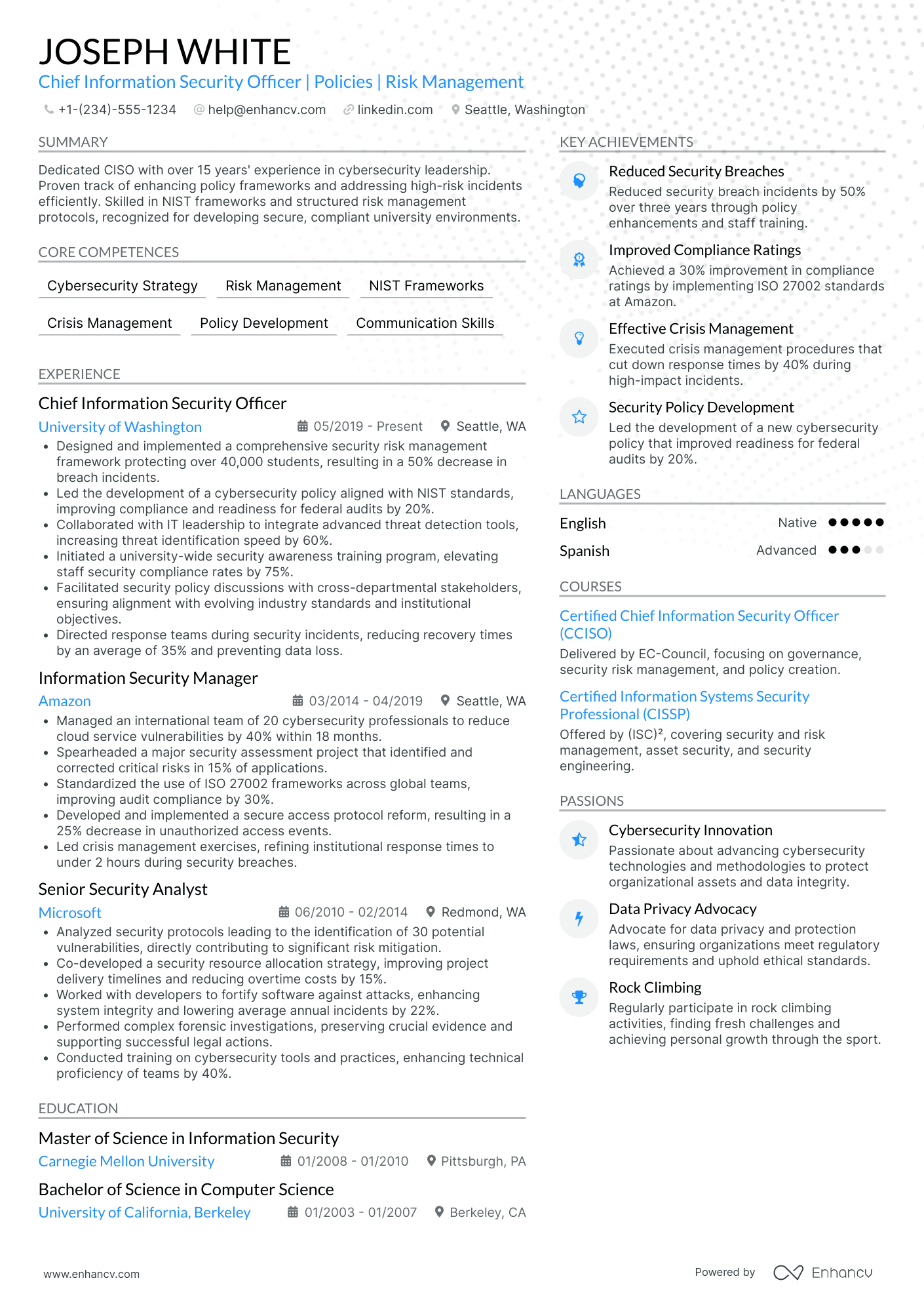 Chief Data and Information Officer Resume Example