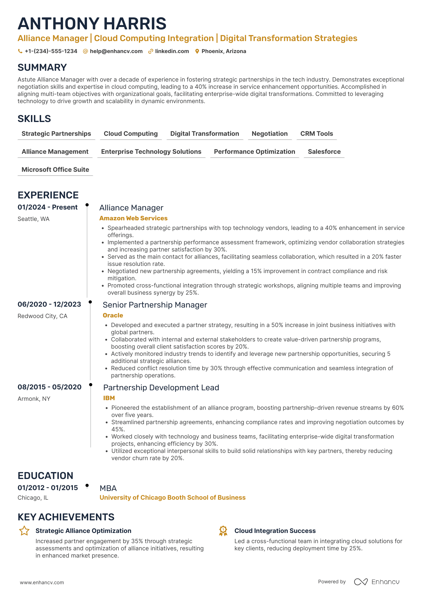 Alliance Manager Resume Example