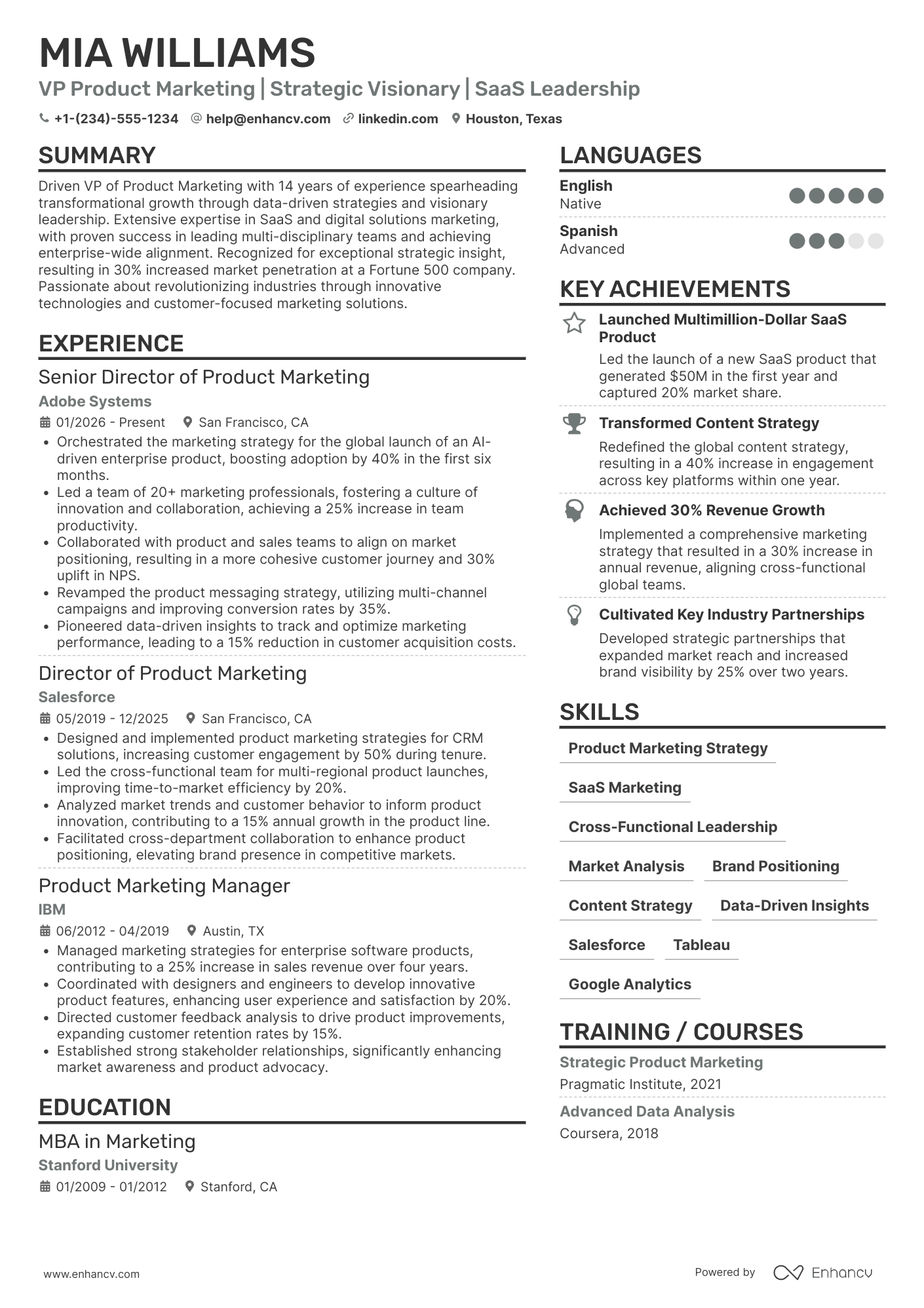 VP Product Marketing Resume Example