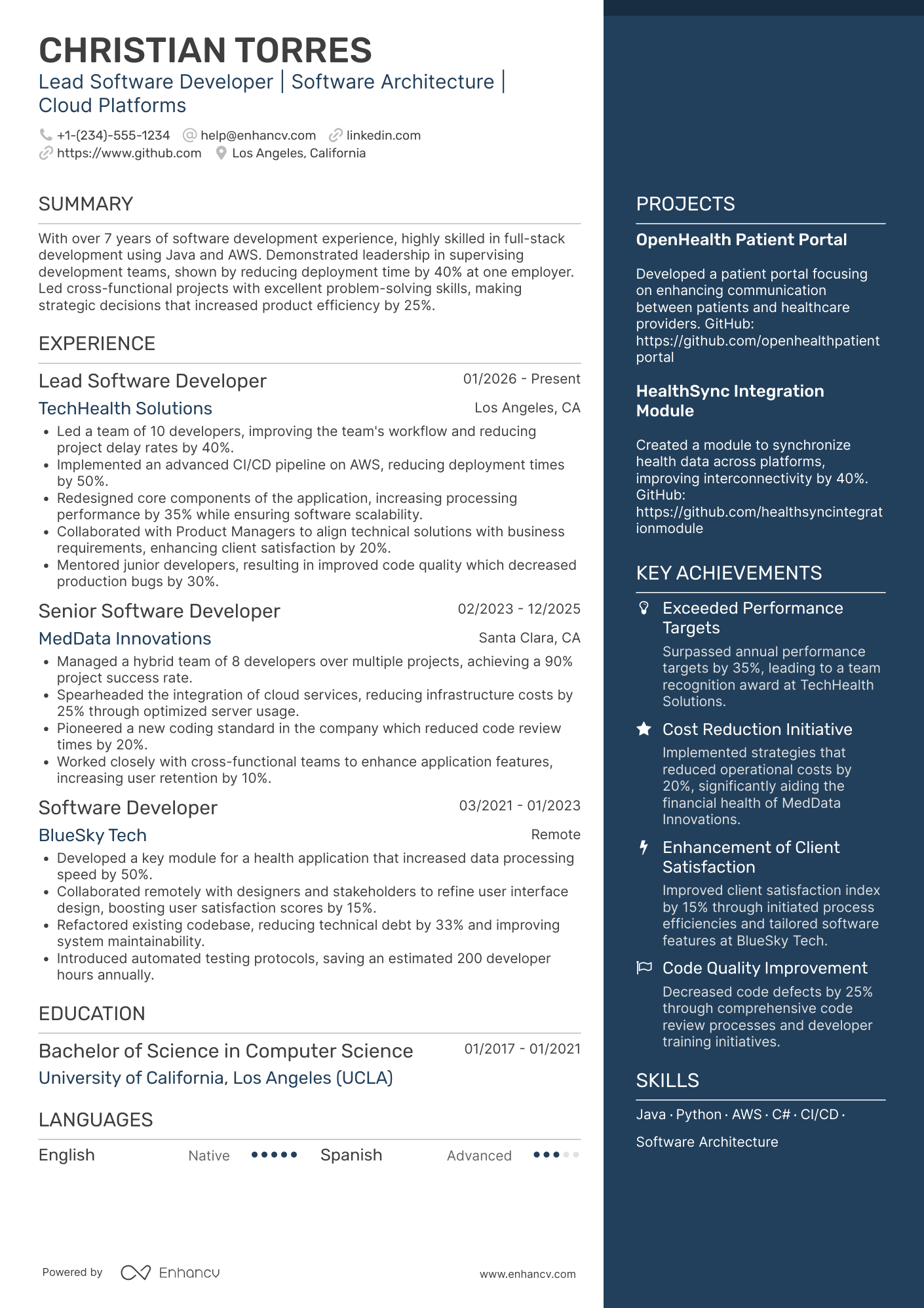 Lead Software Developer Resume Example
