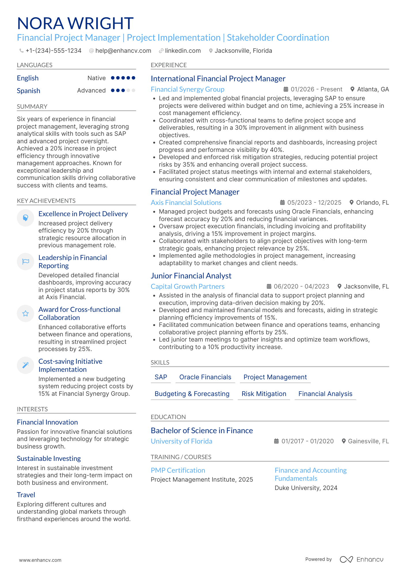 Financial Project Manager Resume Example