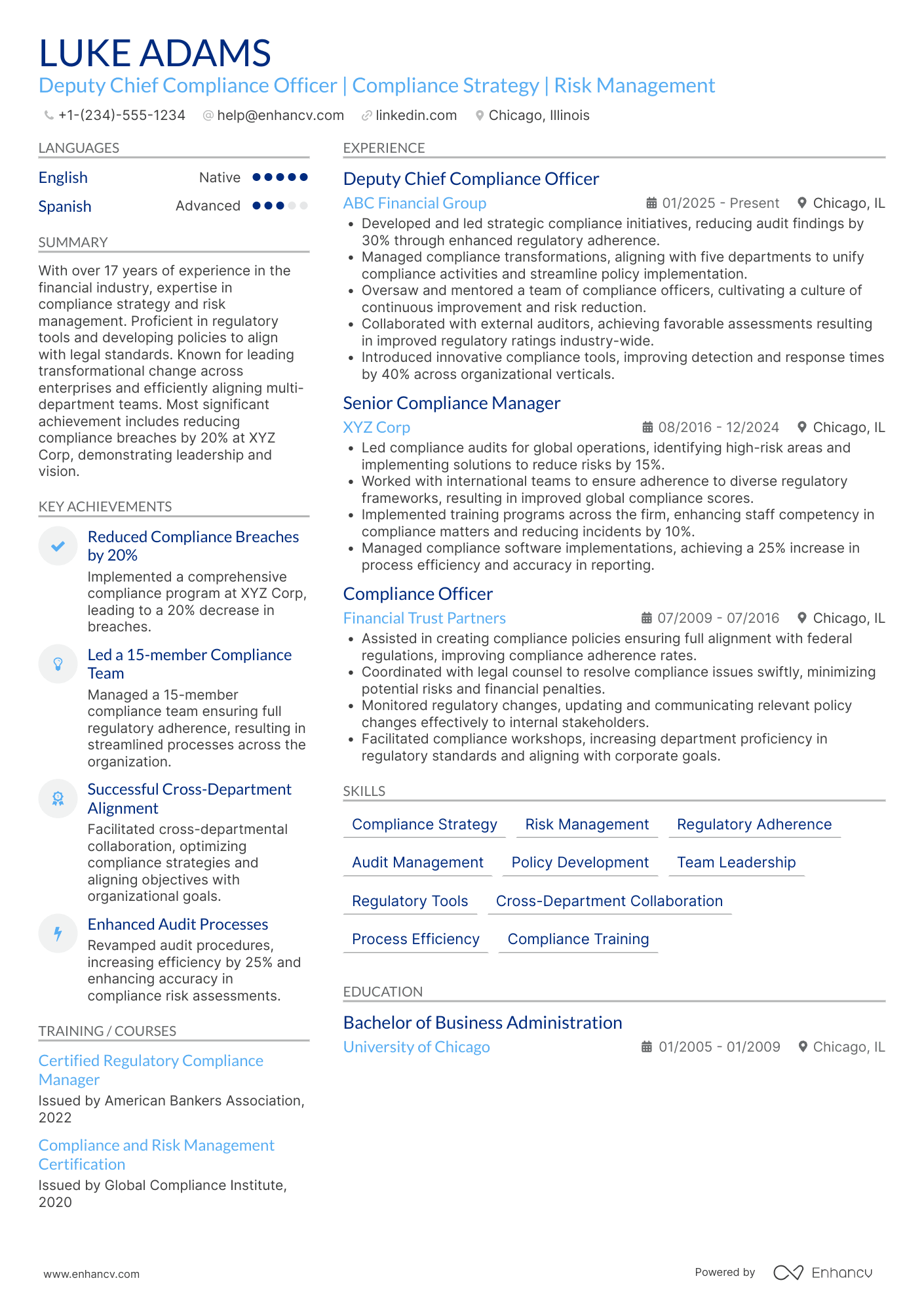 Deputy Chief Compliance Officer Resume Example