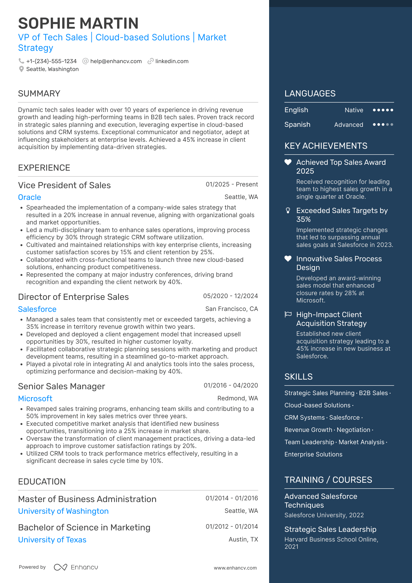 VP of Tech Sales Resume Example