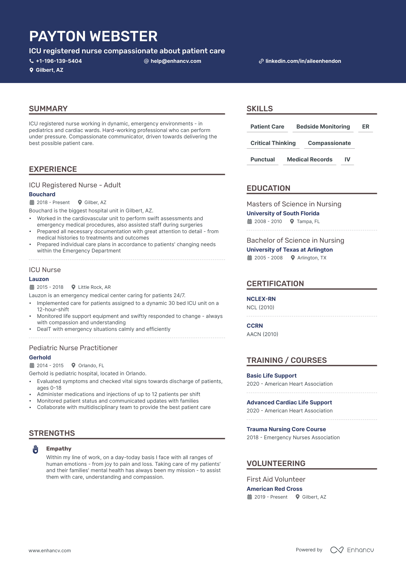 ICU Nurse Resume Example