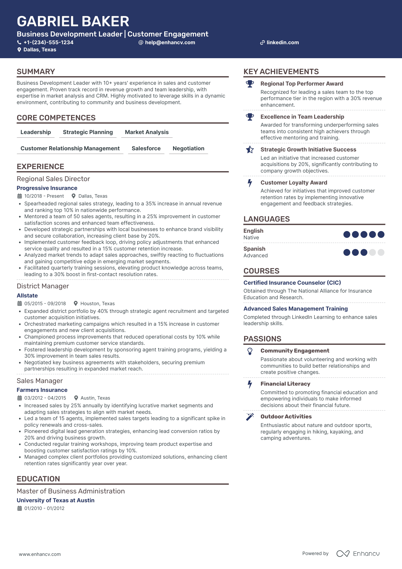 Chief Executive Officer in Insurance Resume Example