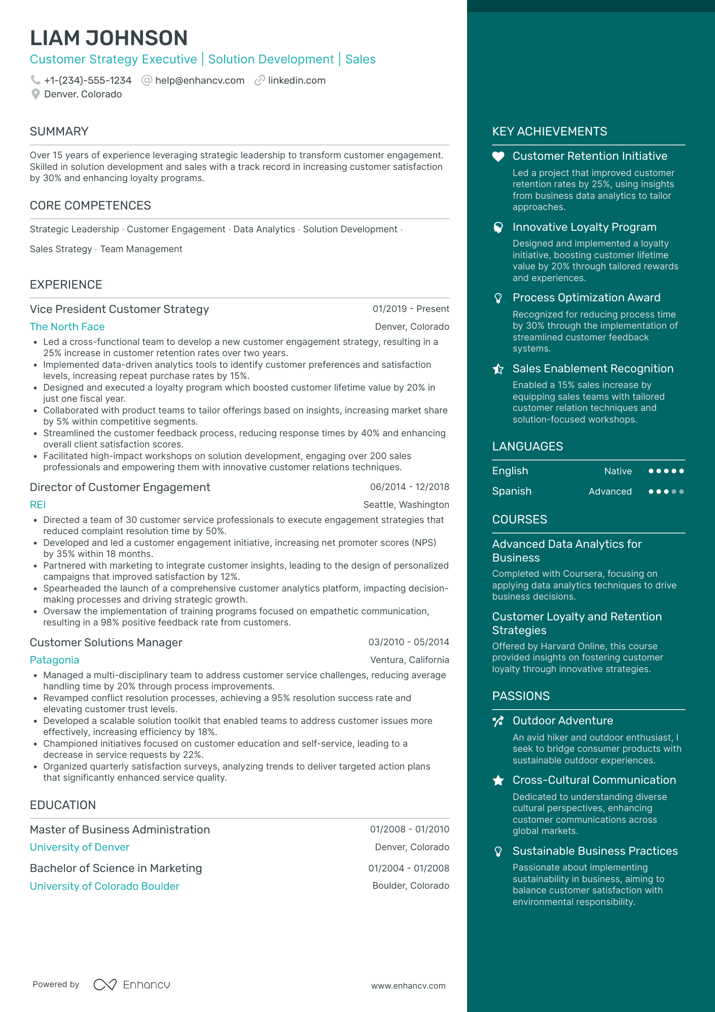 Vice President, Chief Sustainability Officer Resume Example