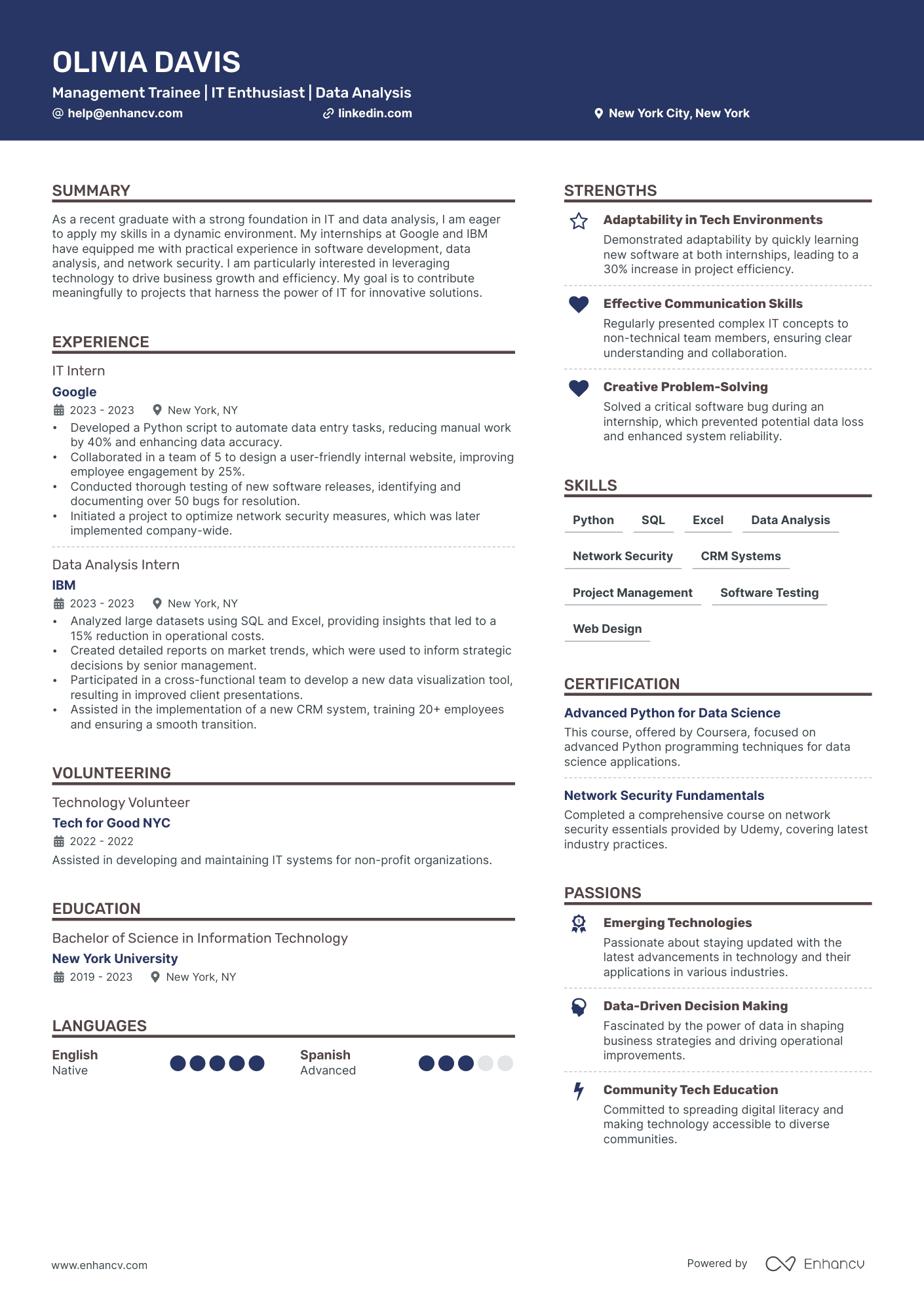 Entry Level IT Resume Example