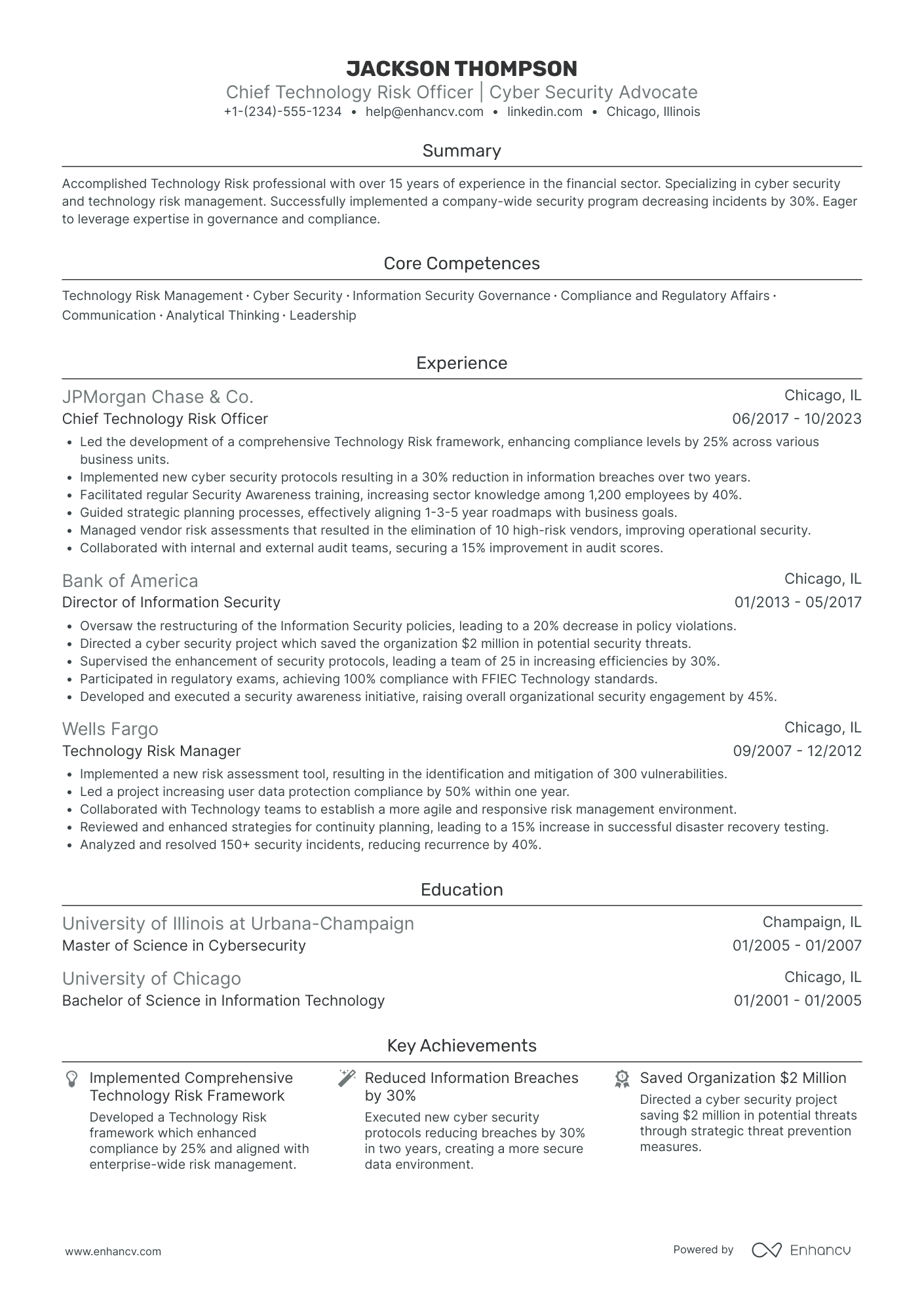 Chief Risk Officer in Technology Resume Example