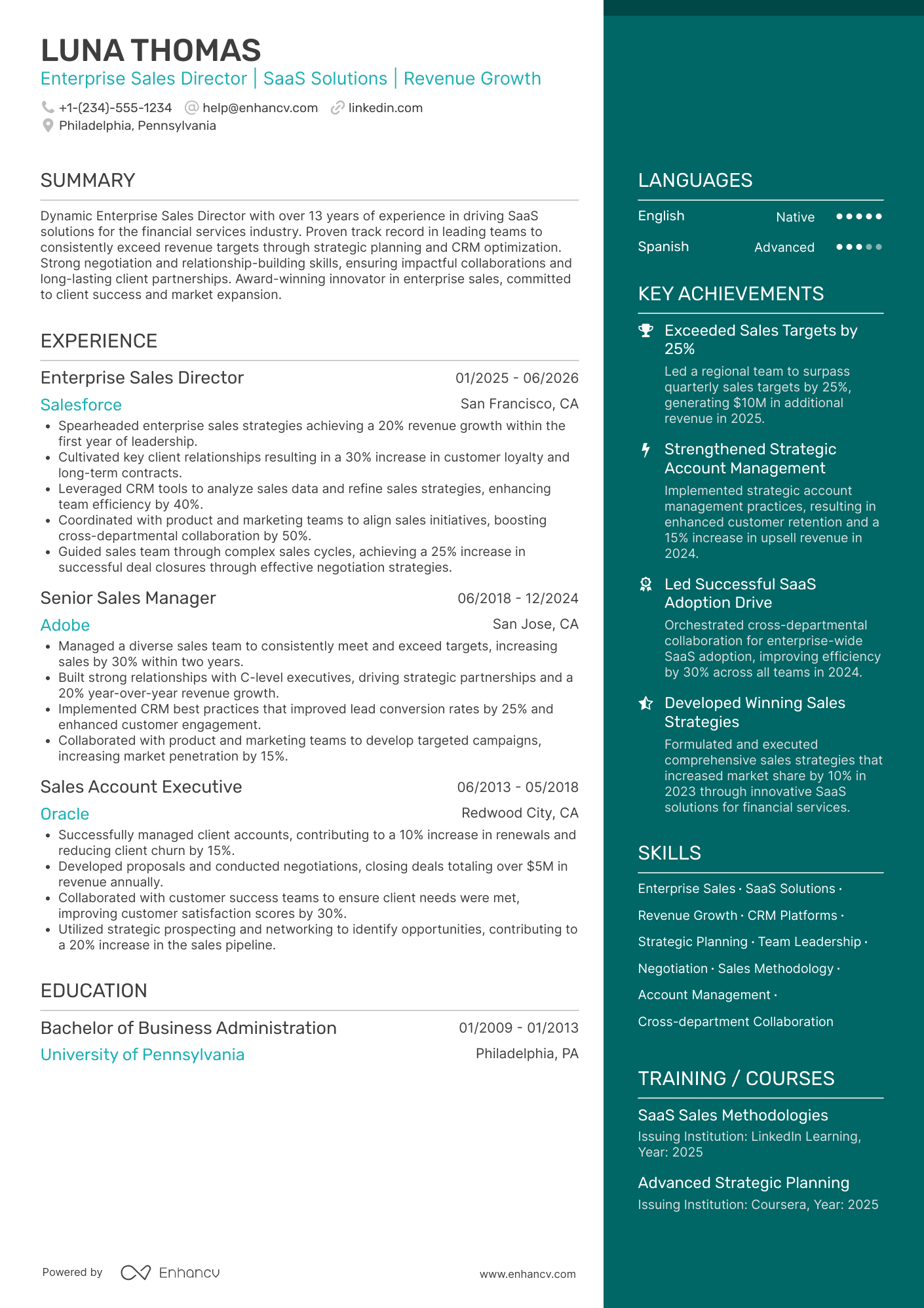 Enterprise Sales Director Resume Example