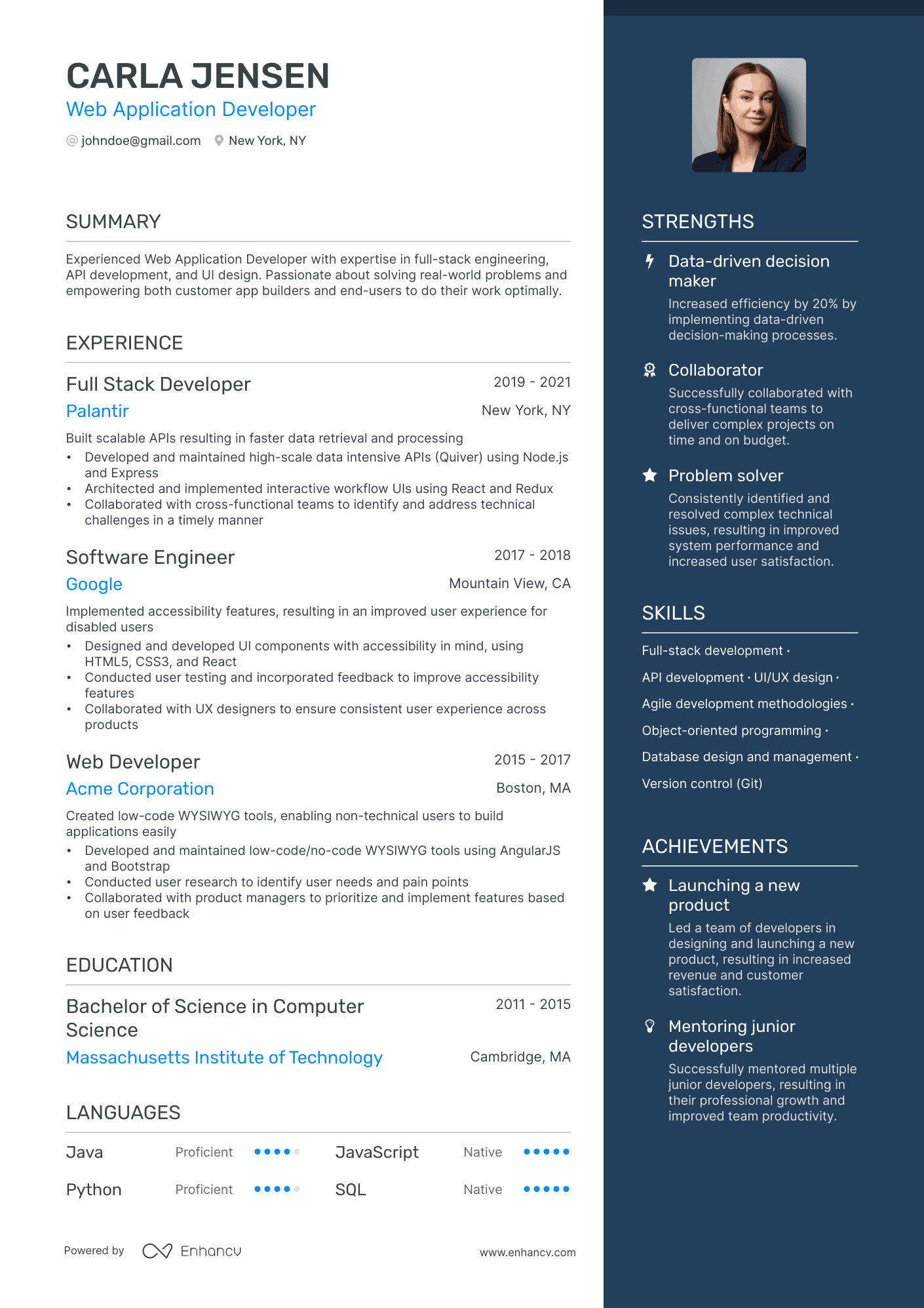 Web Application Developer Resume Example
