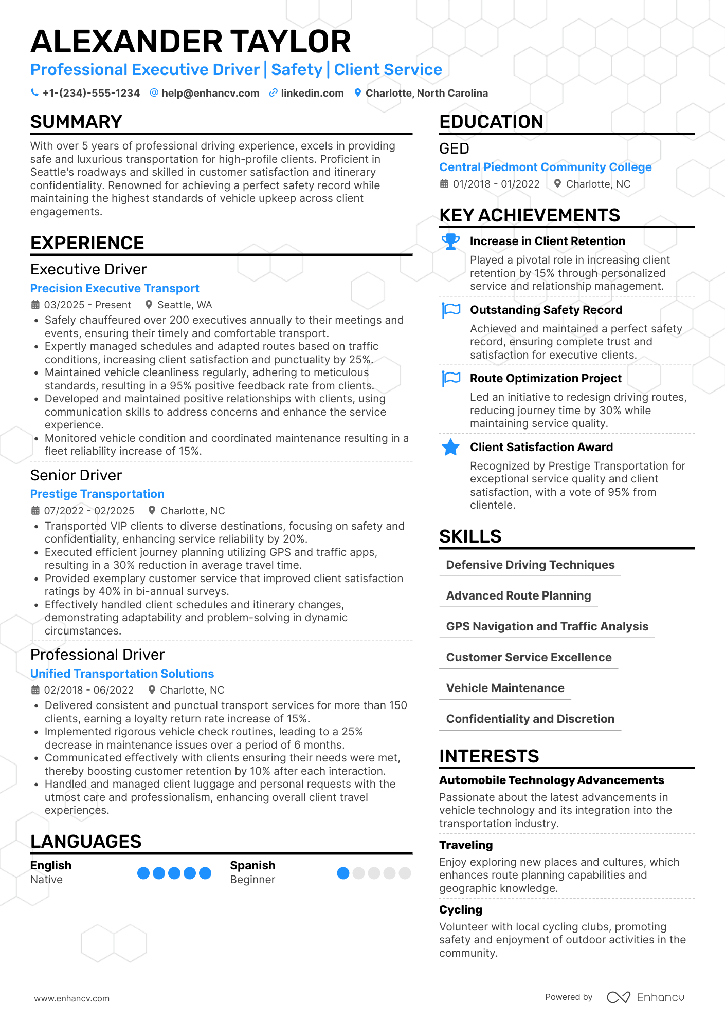 Executive Driver Resume Example