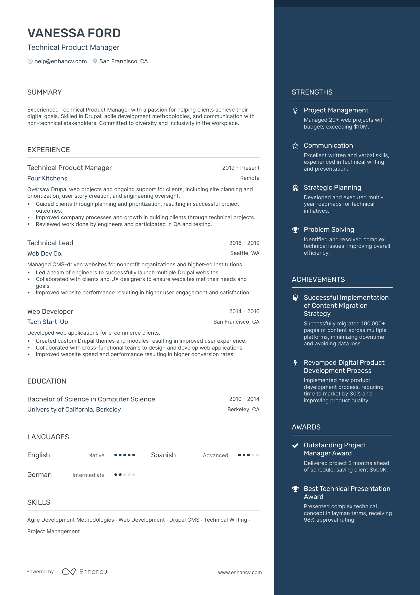 Technical Project Manager Resume Example