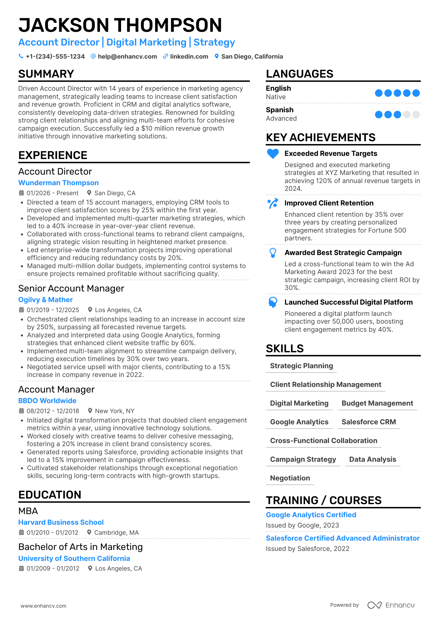 Account Director Resume Example