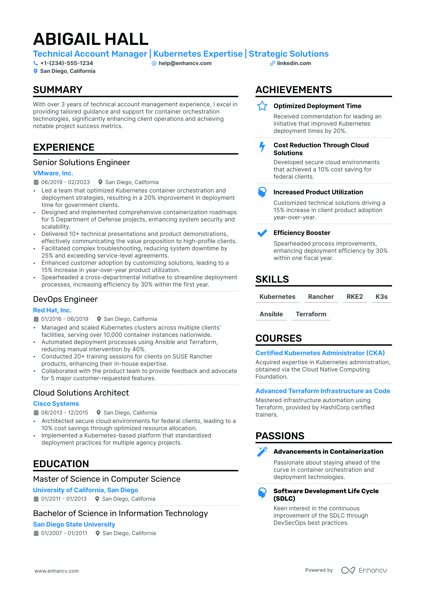 Technical Account Manager Resume Example