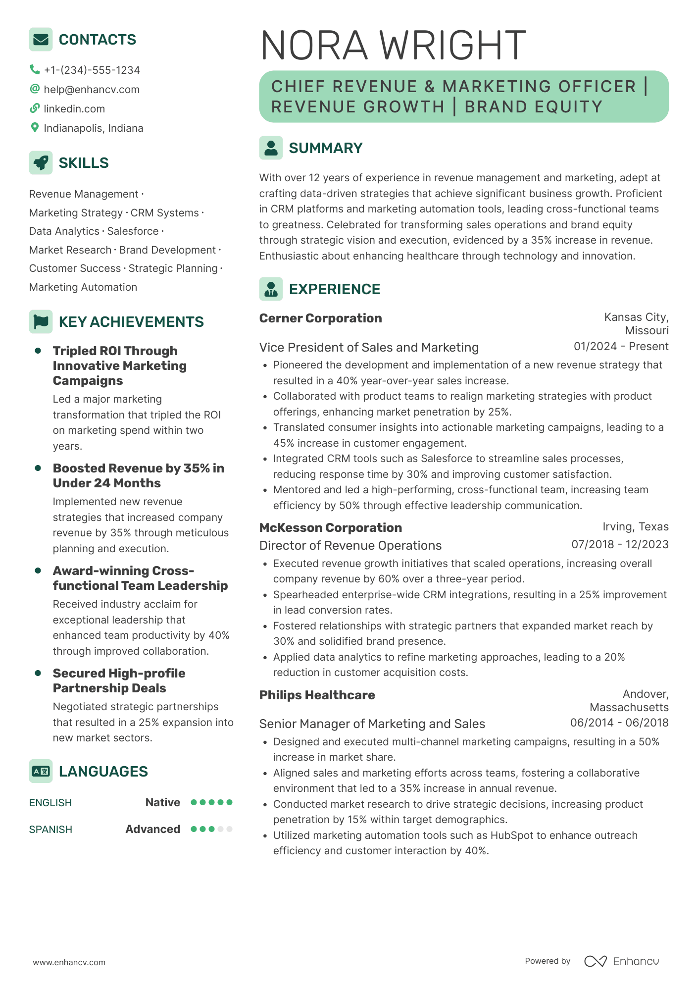 Chief Revenue and Marketing Officer Resume Example