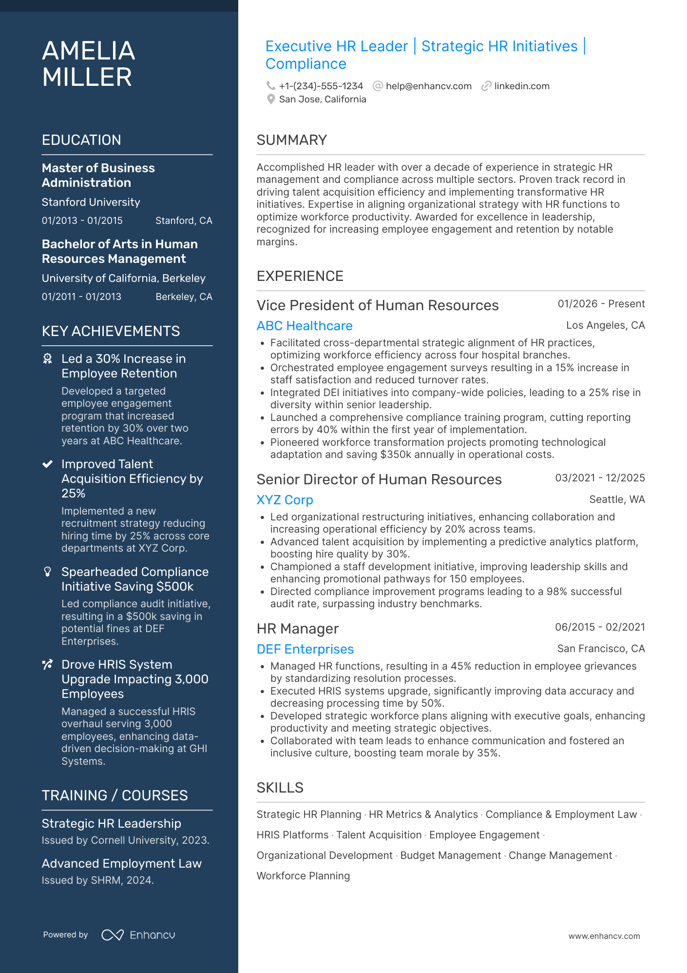 Deputy Chief Human Resources Officer Resume Example