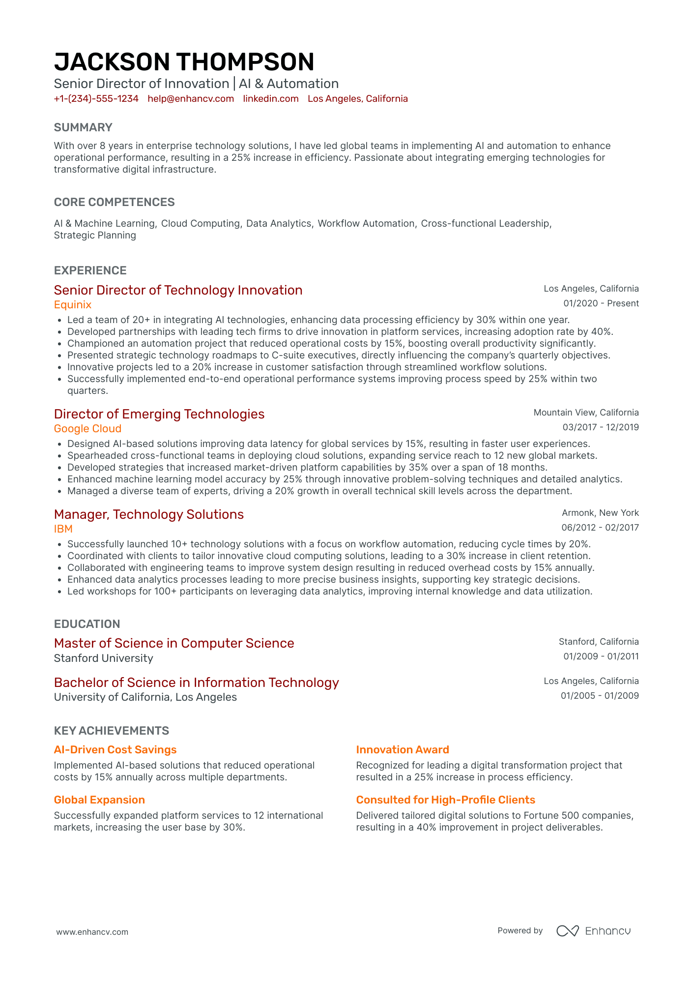 Chief Technology Innovation Officer Resume Example