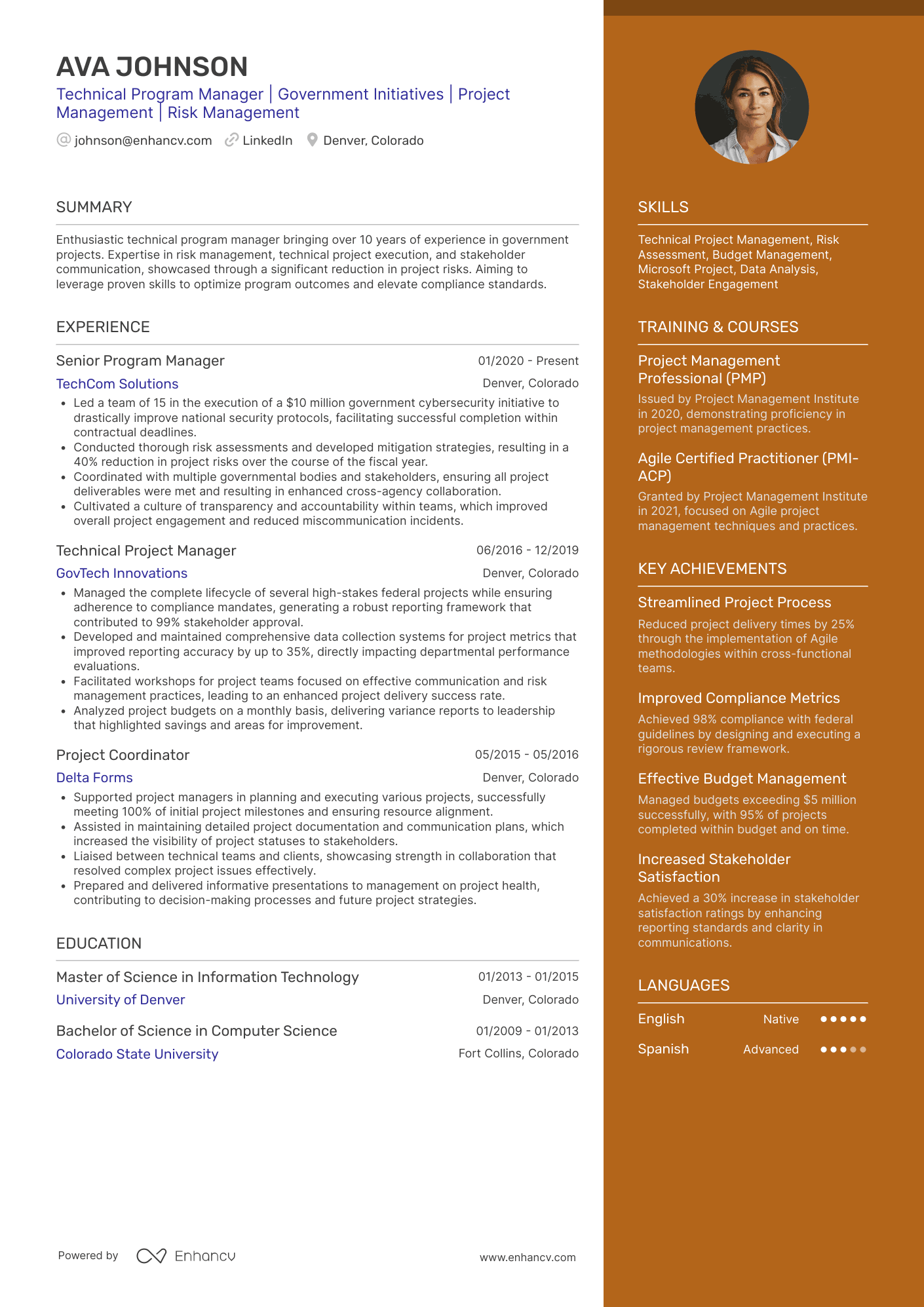 Technical Program Manager Resume Example