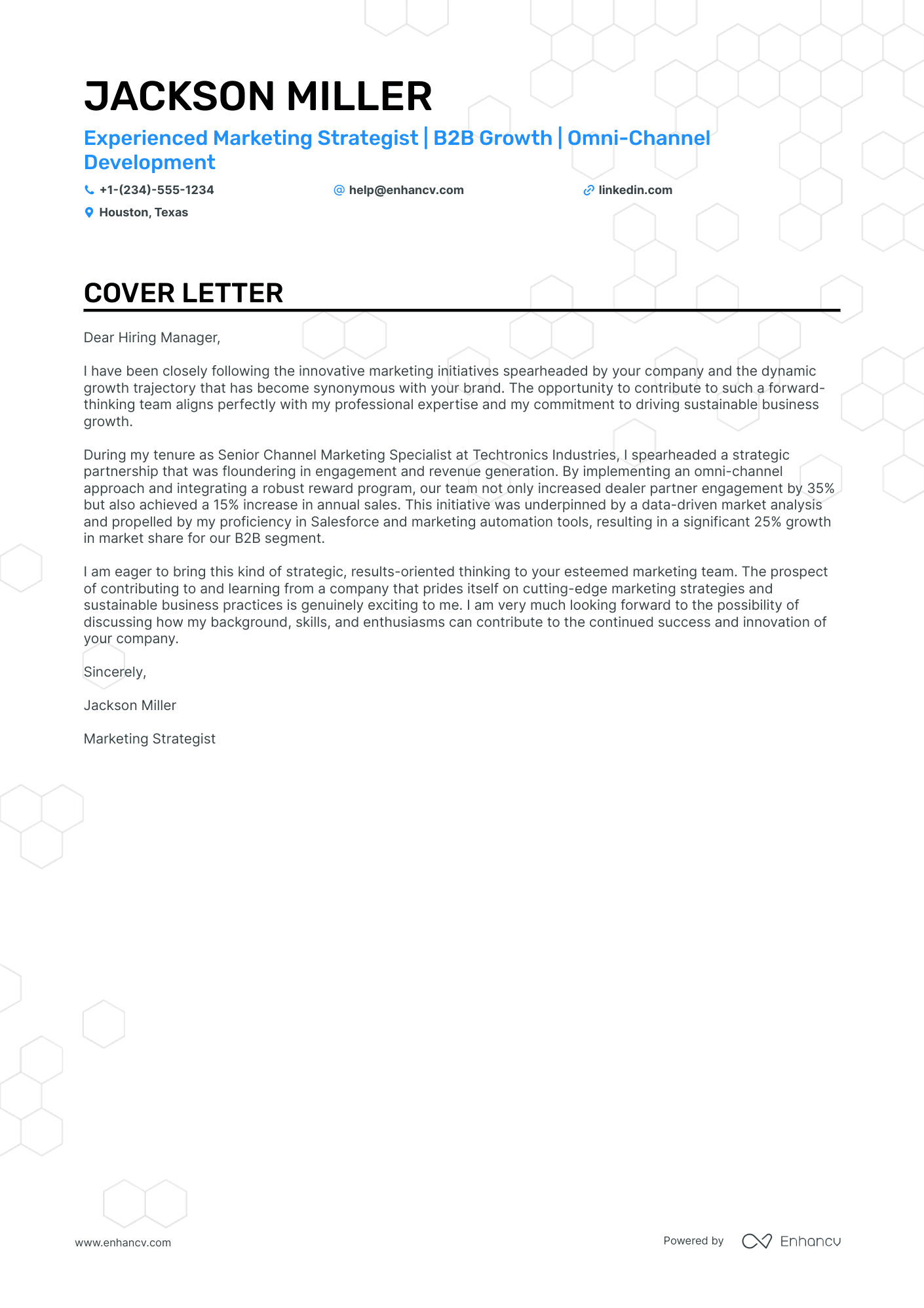 Channel Marketing Manager Resume Example