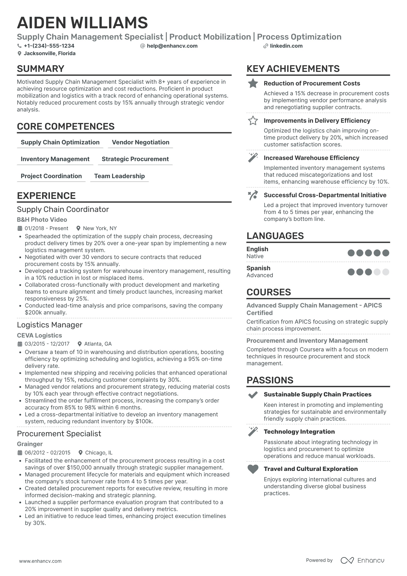 Deputy Chief Procurement Officer Resume Example