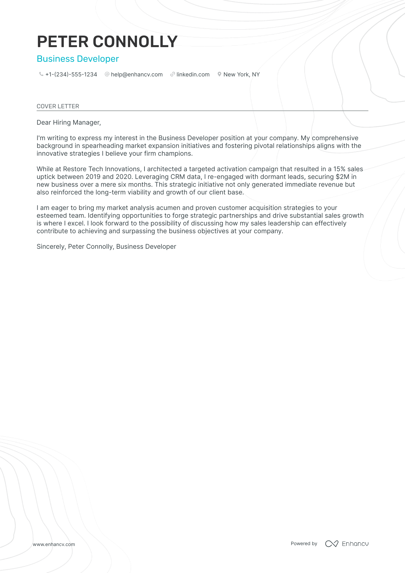 Business Development Manager Resume Example