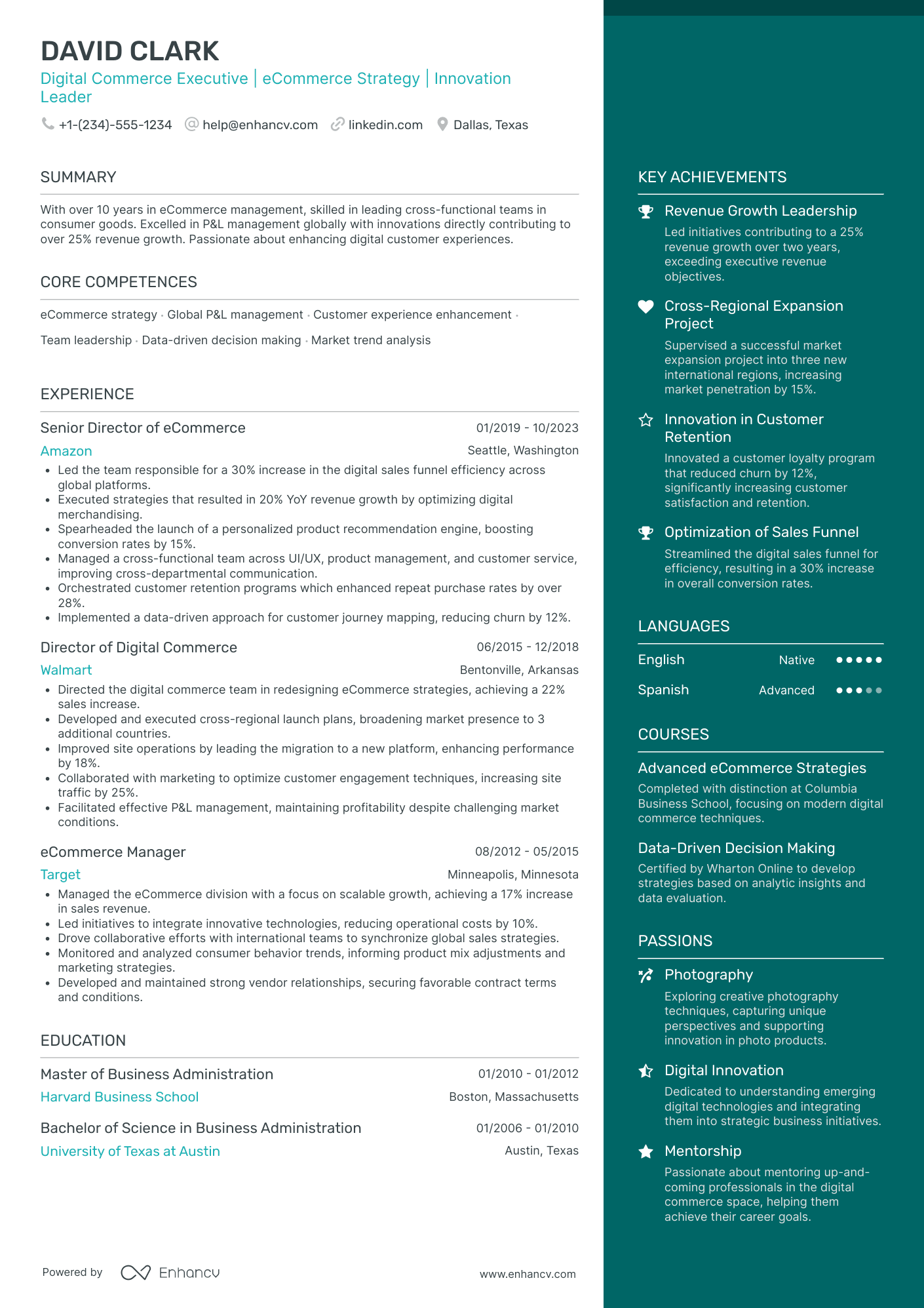 Chief Information Officer in E commerce Resume Example