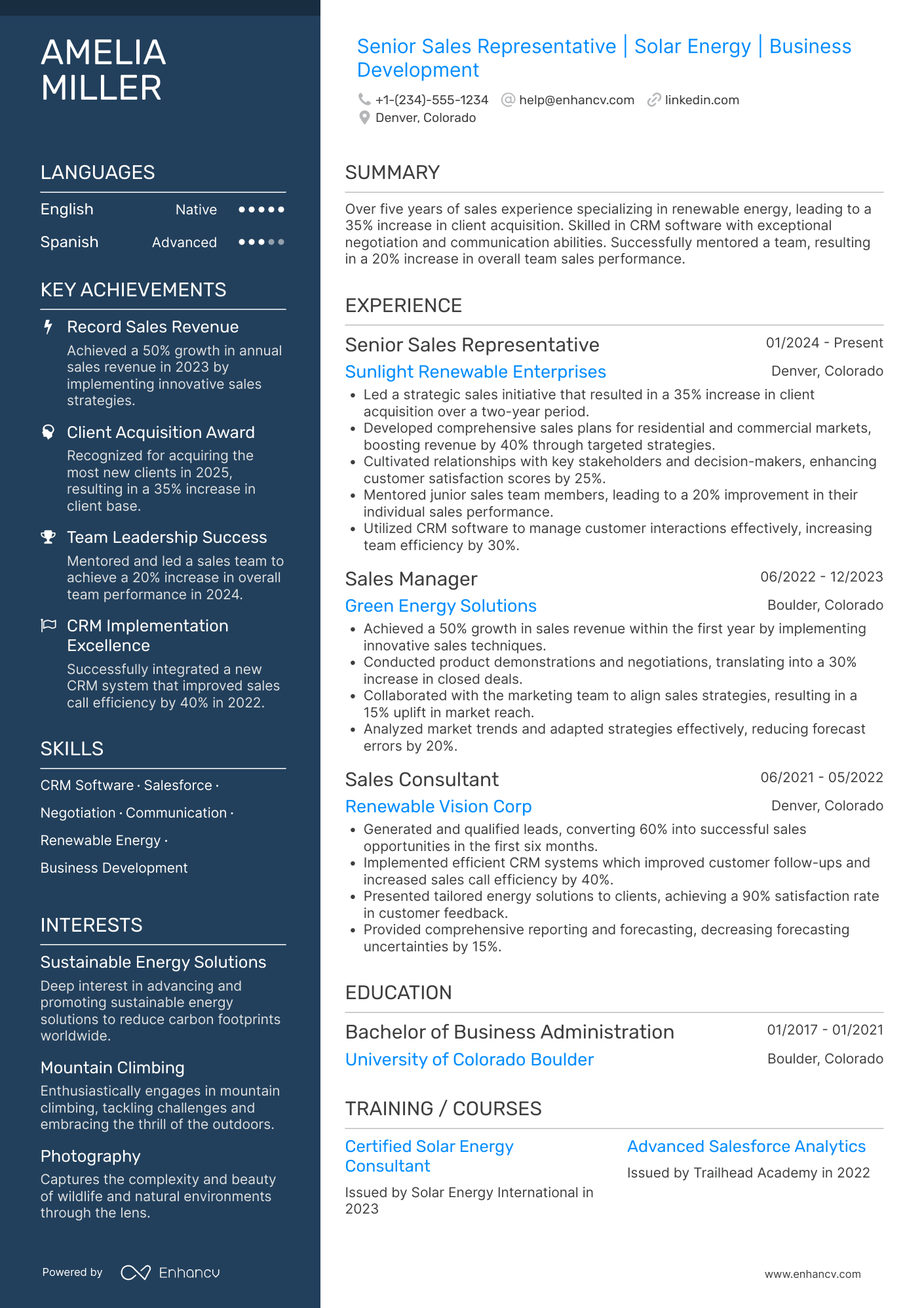 Senior Sales Representative Resume Example