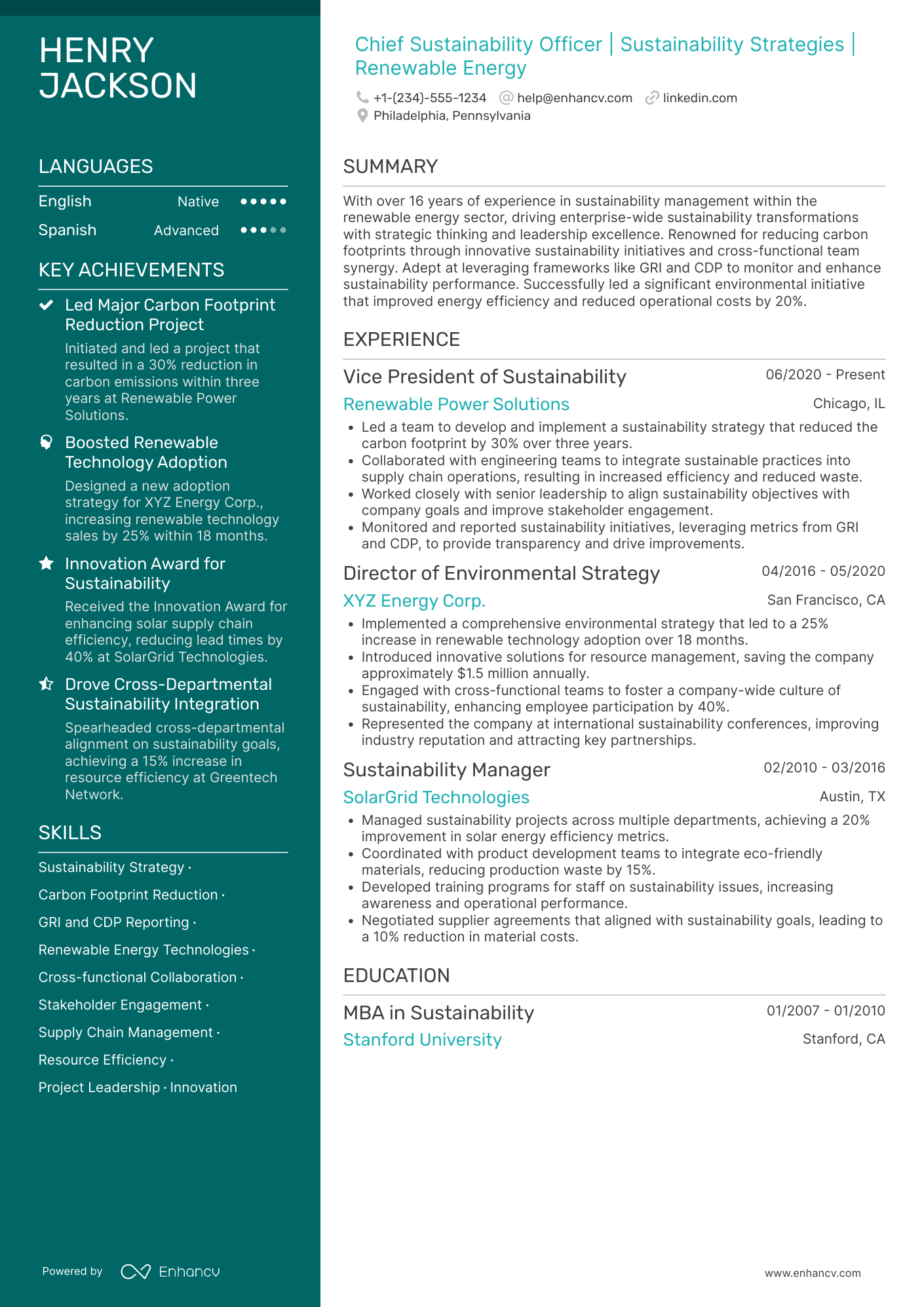 Chief Sustainability Officer Resume Example