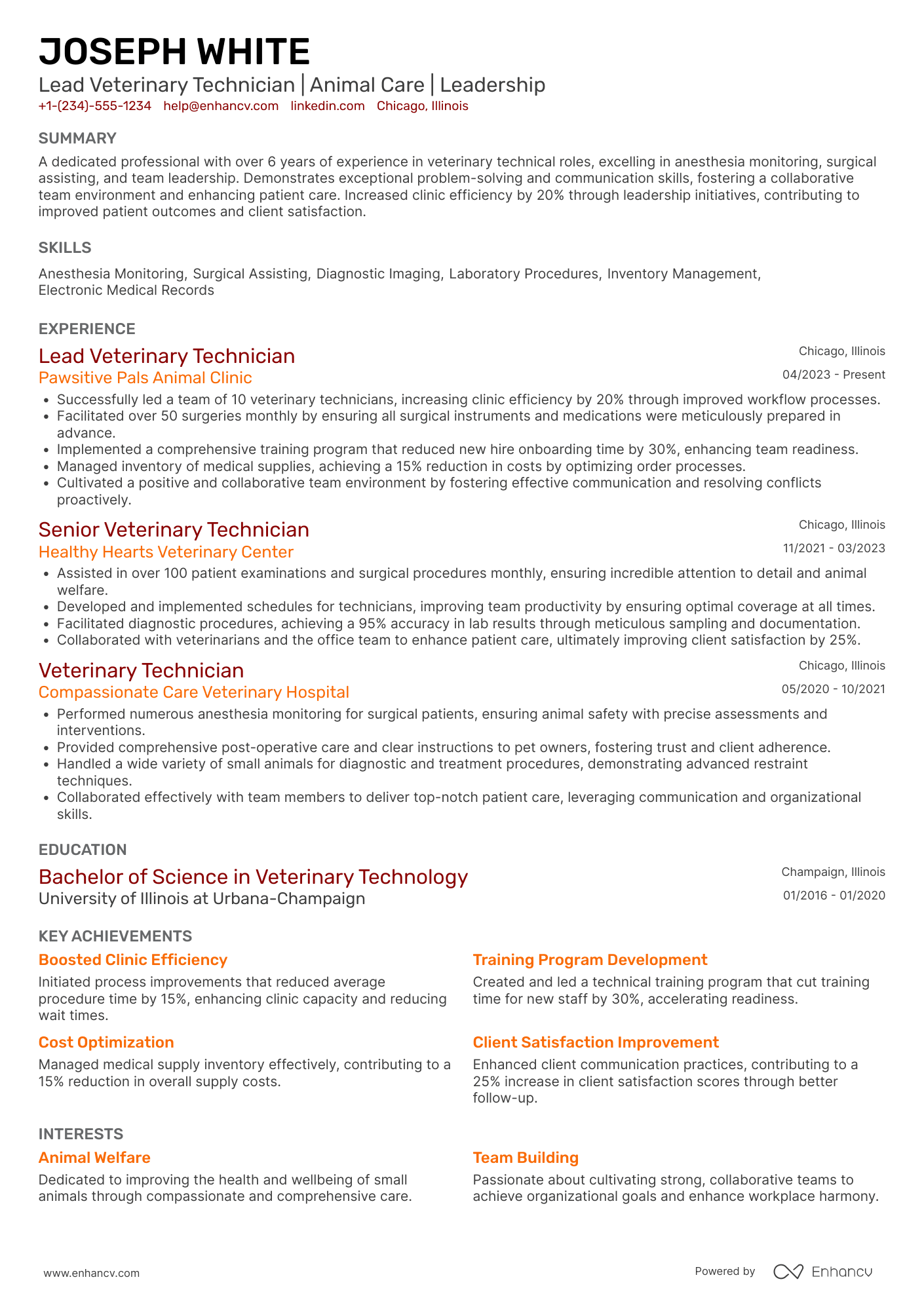 Lead Veterinary Technician Resume Example