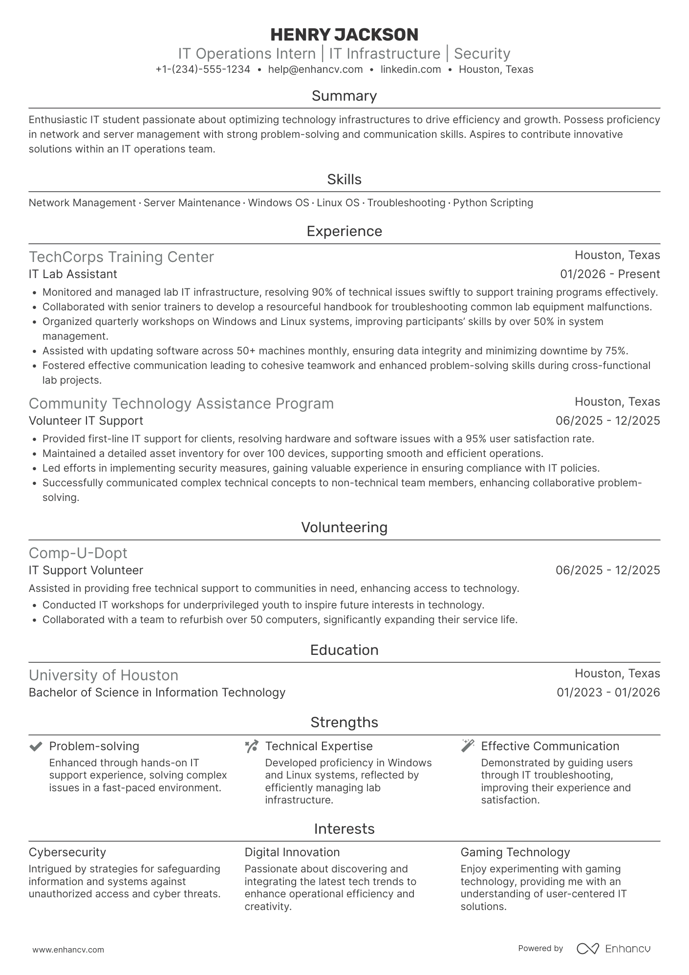 IT Operations Intern Resume Example