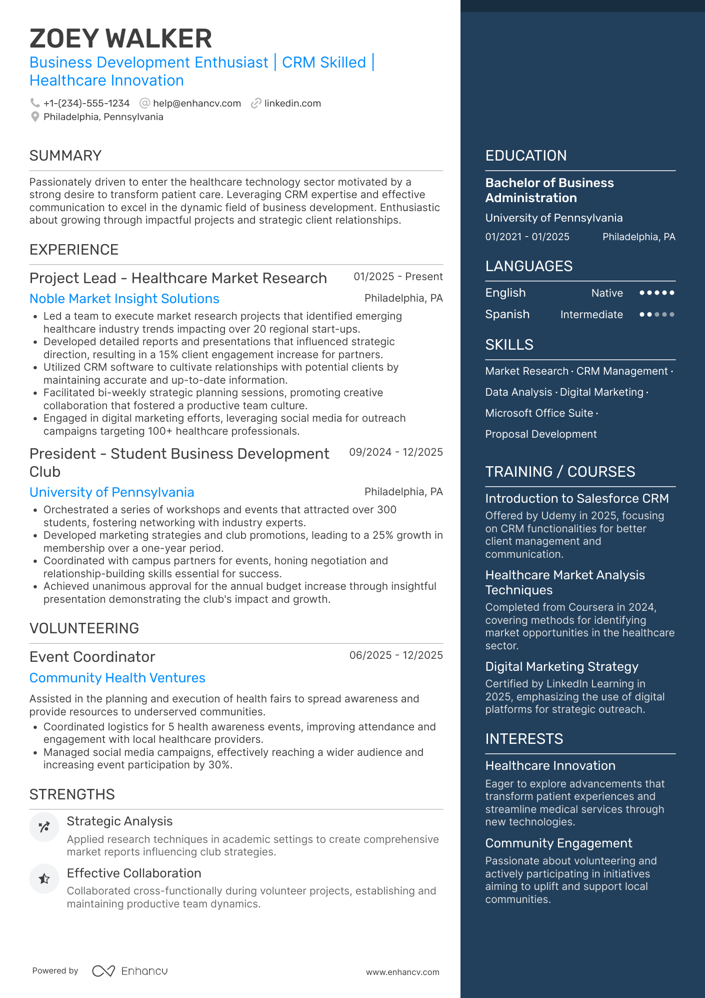 Business Development Intern Resume Example