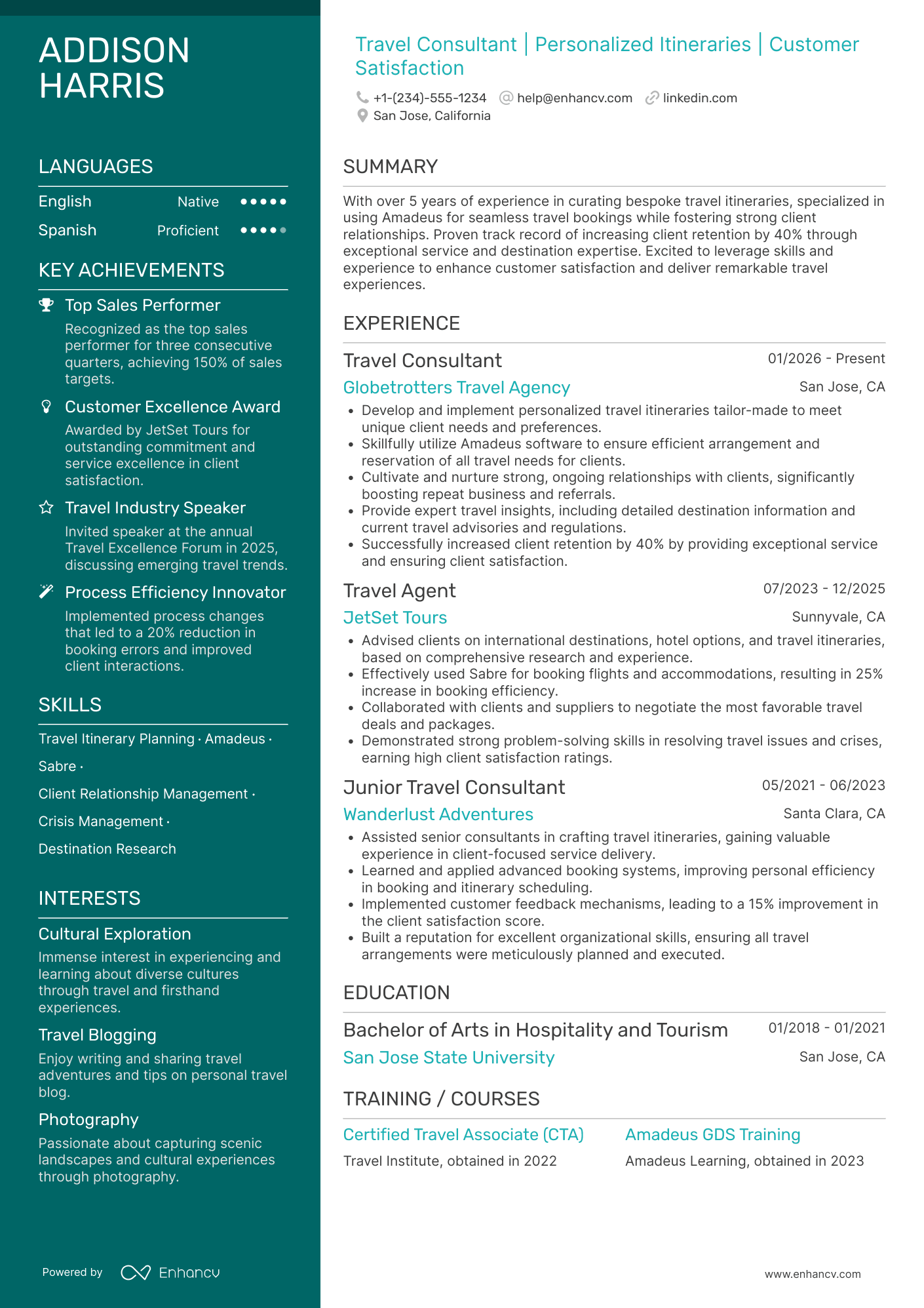 Travel Consultant Resume Example