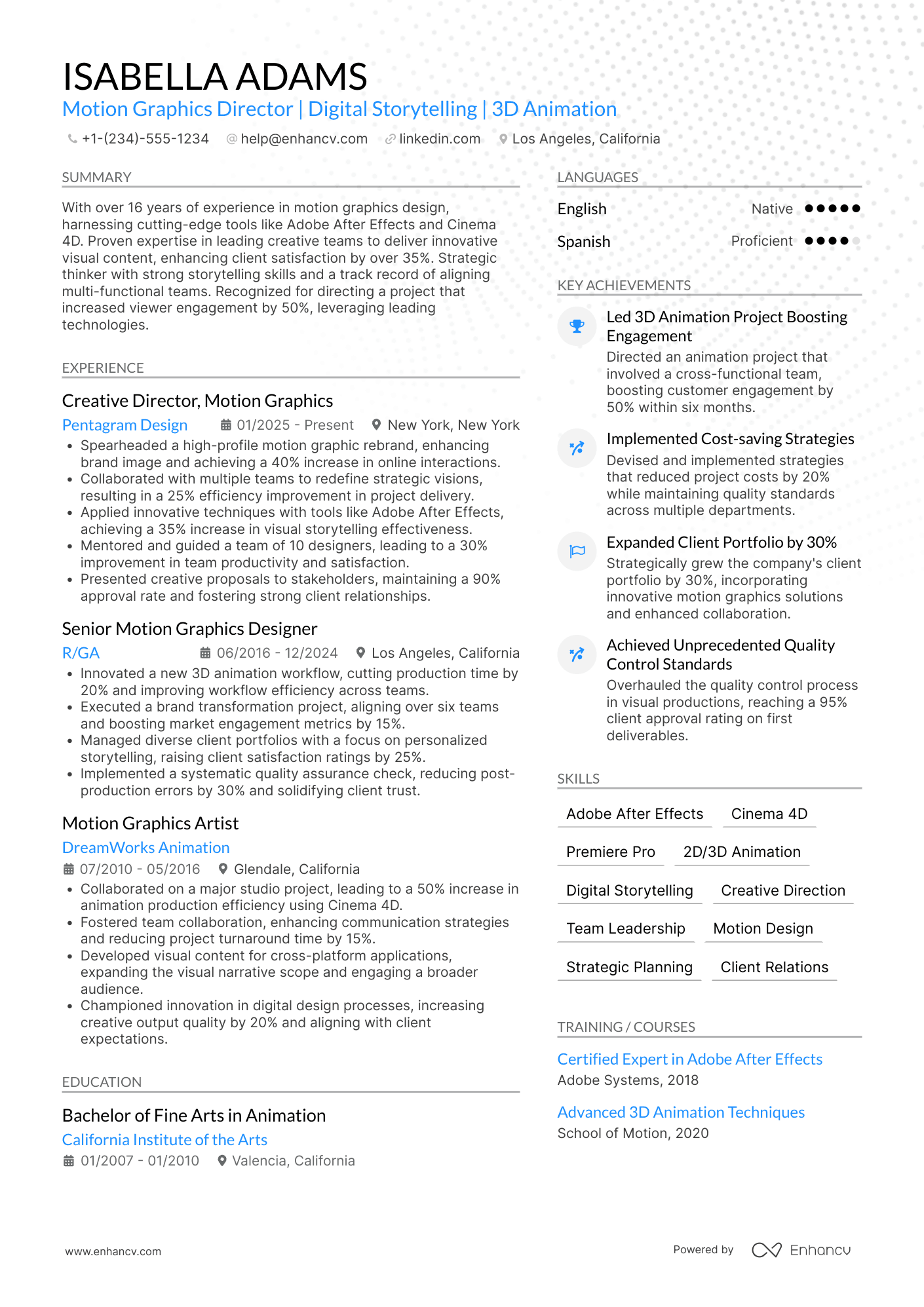 Motion Graphics Director Resume Example